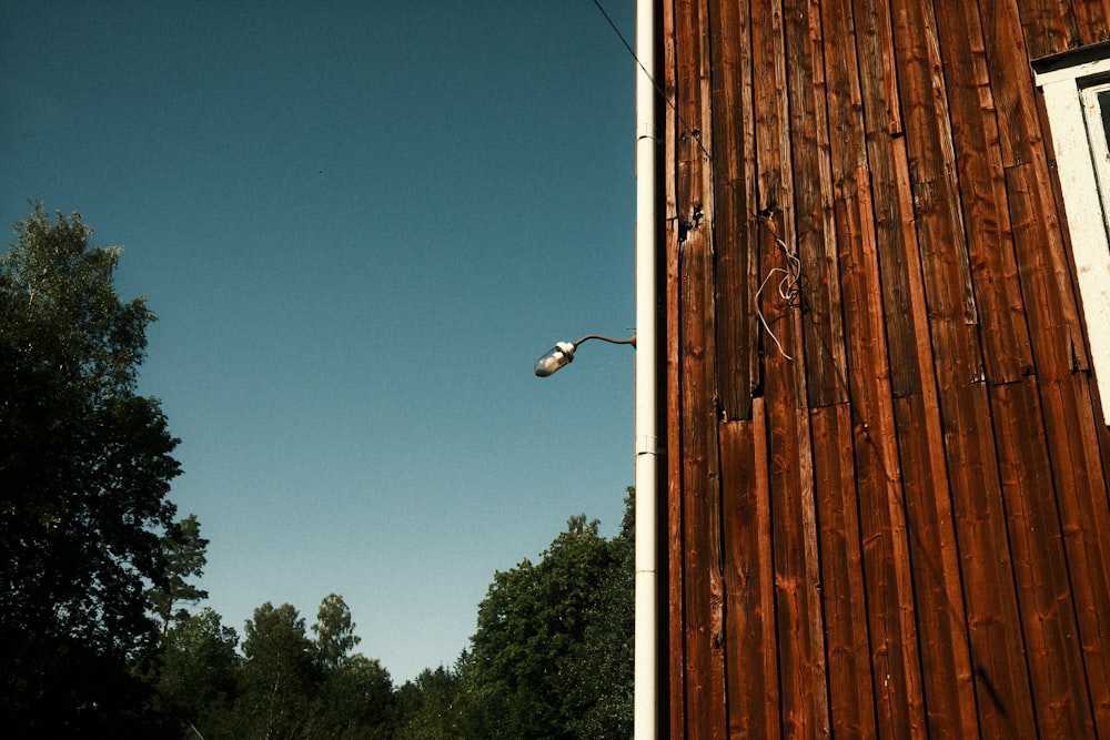 a bird on a fence