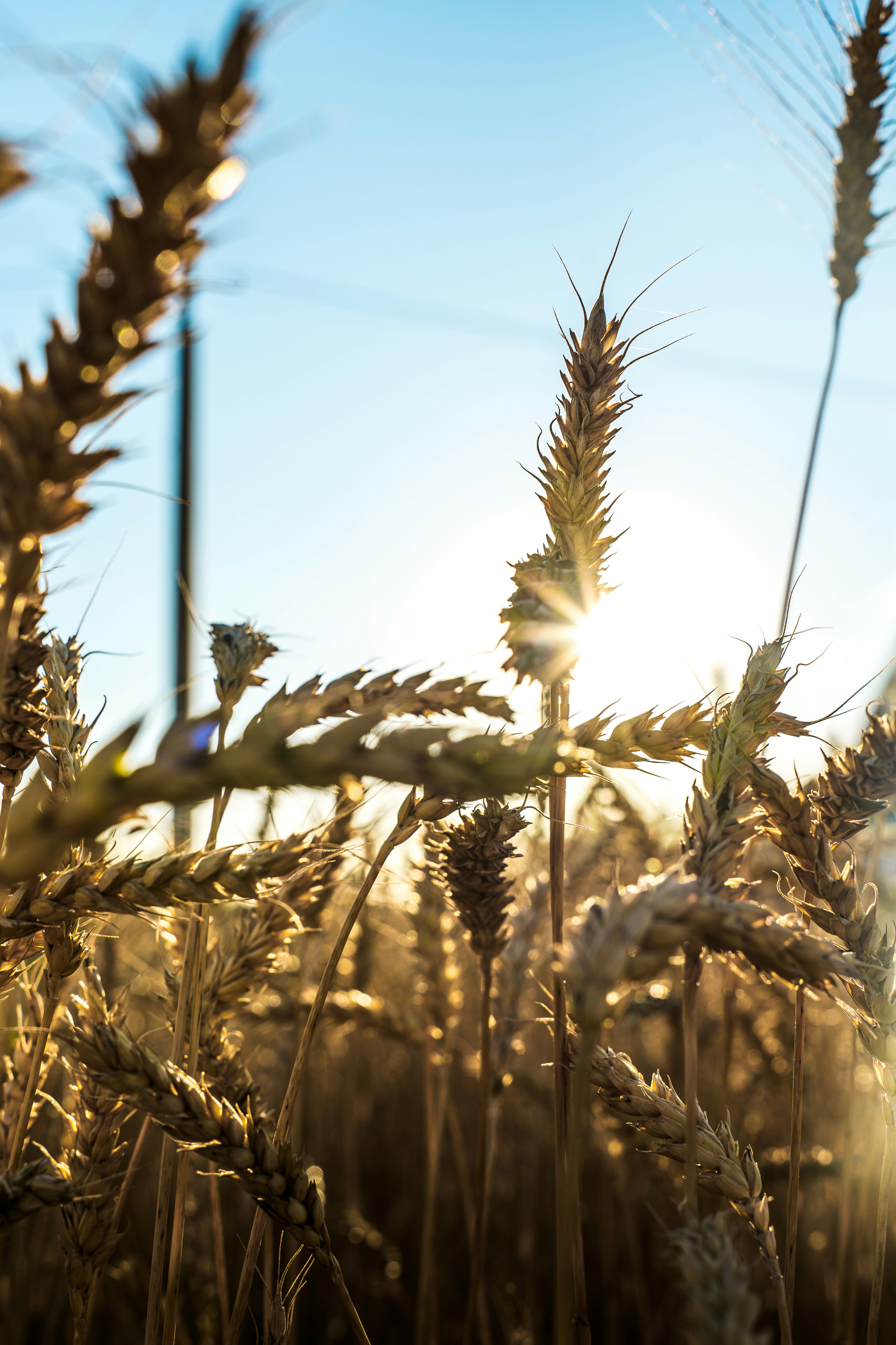 Photo by maksym_tymchyk