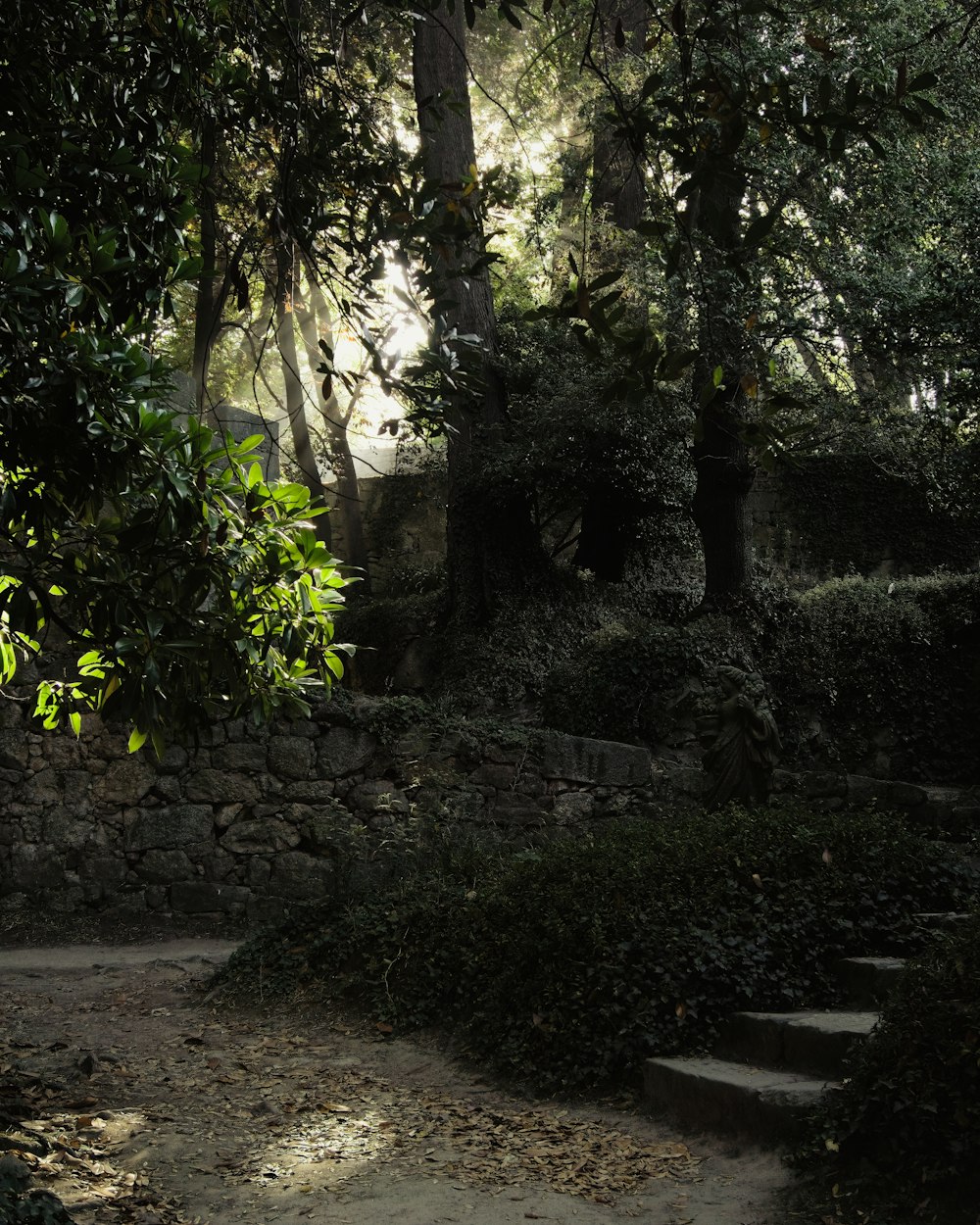 a stone wall with trees and bushes