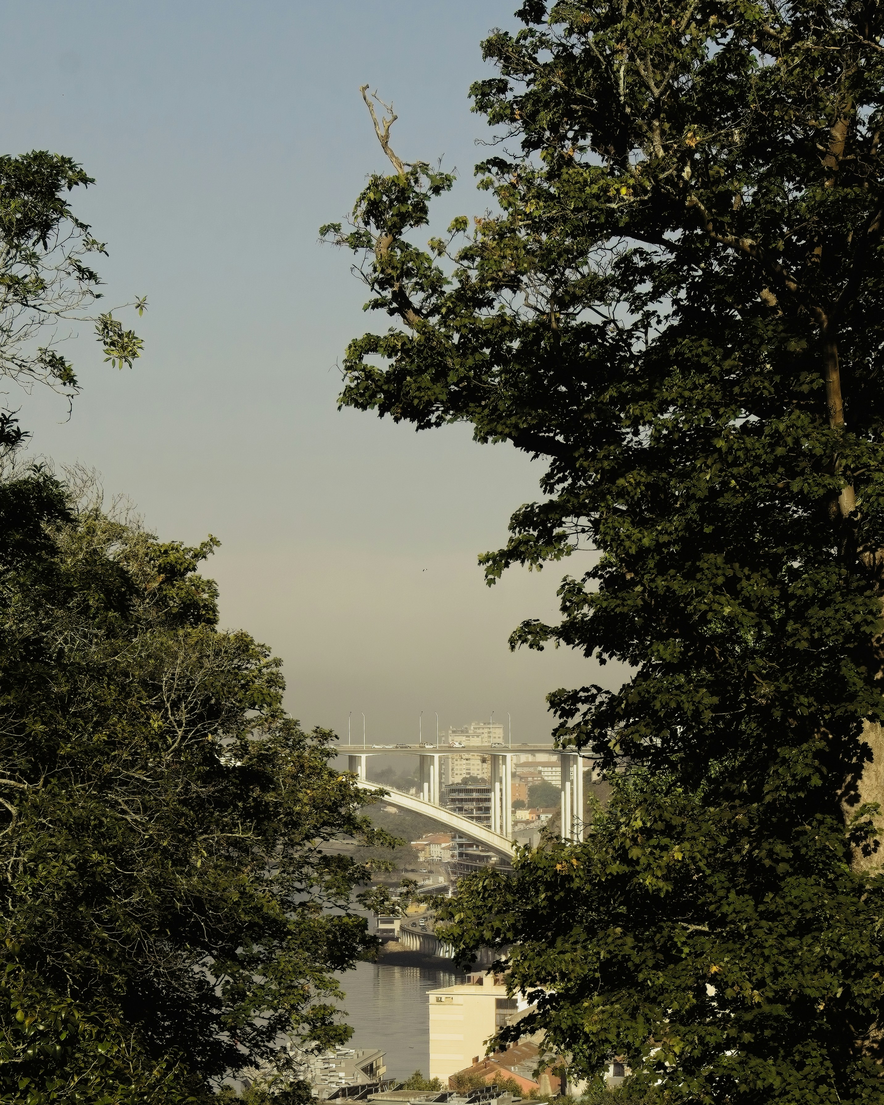 Photo by arthurhinton