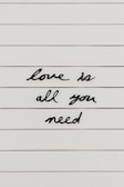 Black cursive letters spell out the phrase 'love is all you need' on a white, lined background.