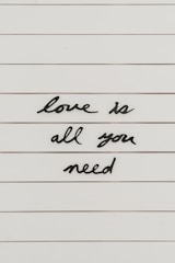 Black cursive letters spell out the phrase 'love is all you need' on a white, lined background.