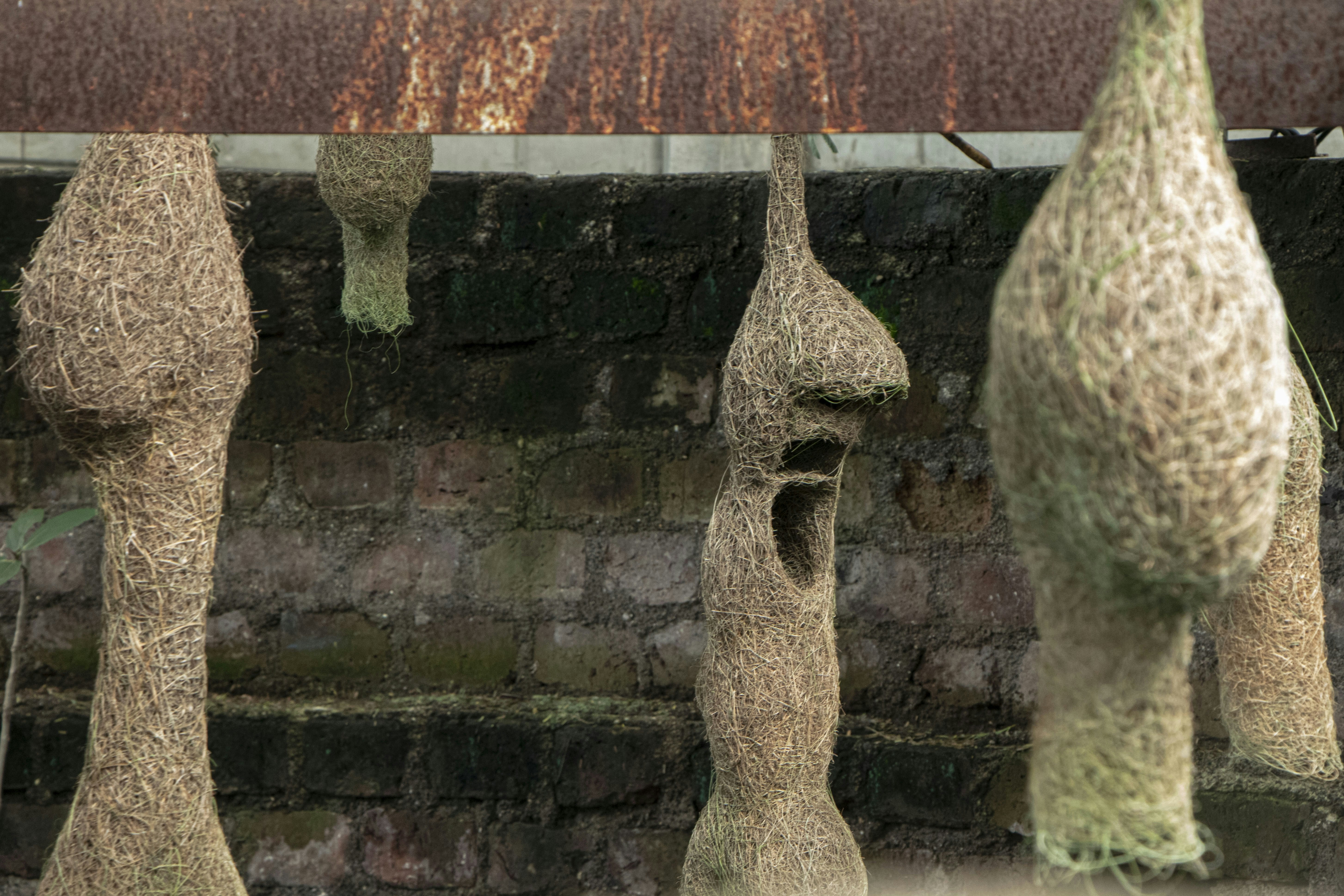 Photo by salmon_skin_roll_