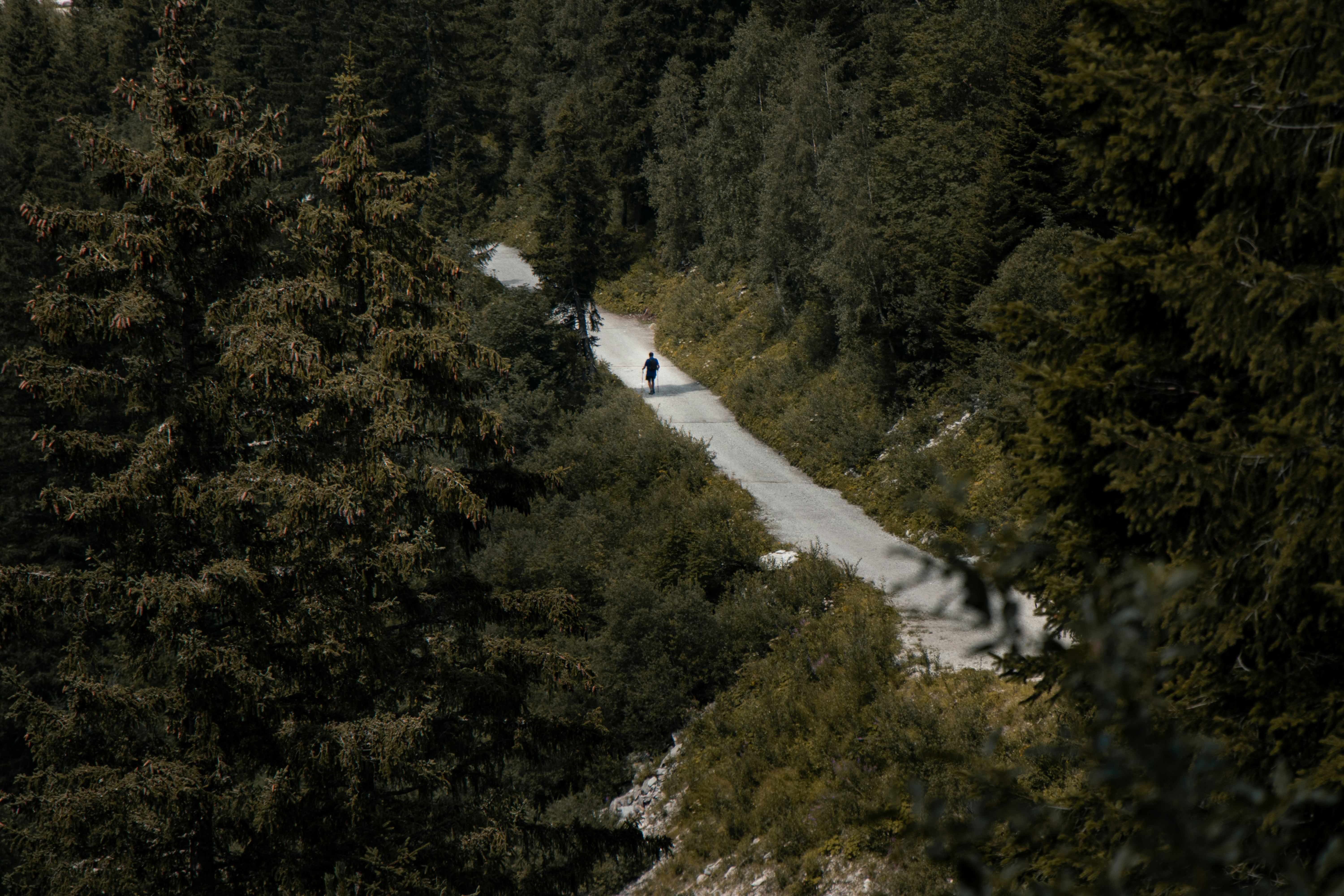 Photo by judithschouten