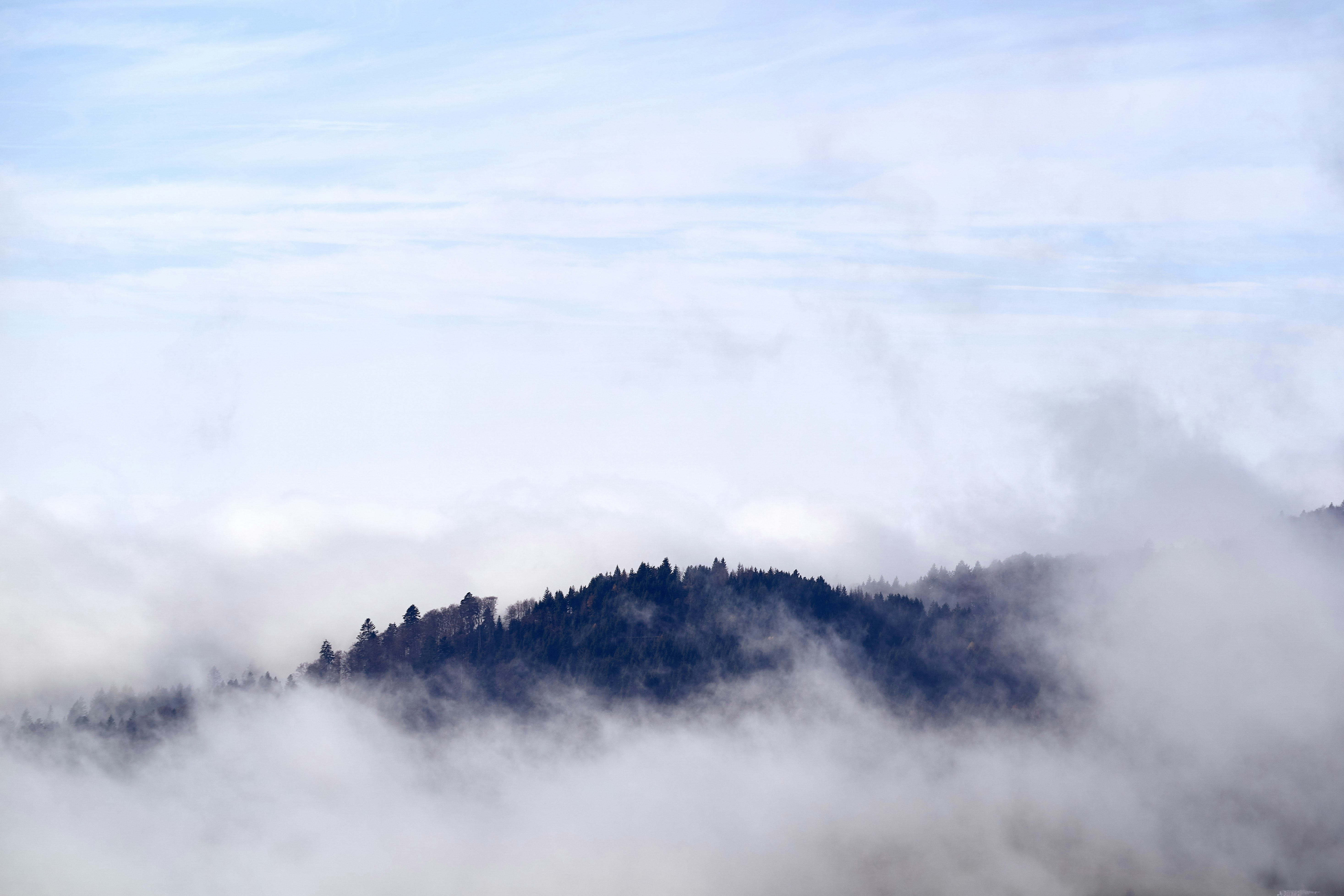 Photo by wolfgang_hasselmann