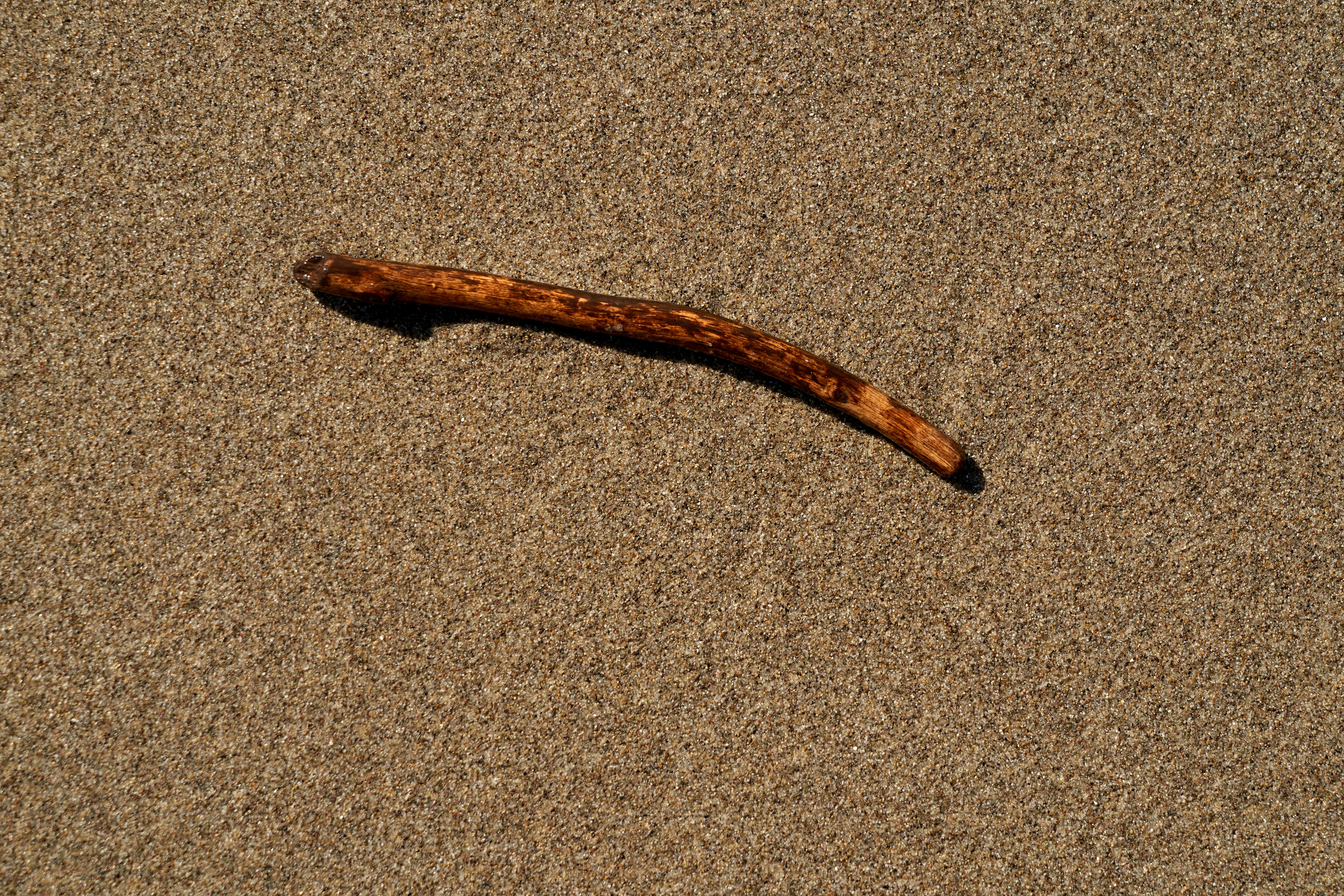 Photo by wolfgang_hasselmann