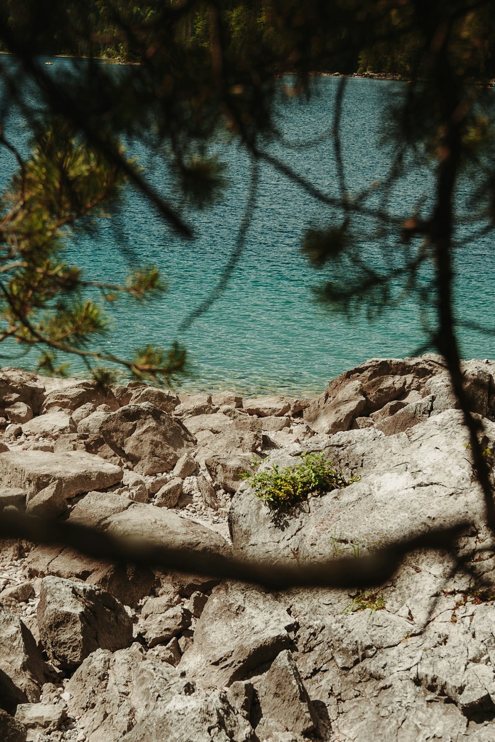 水域を背景にした岩だらけのビーチ