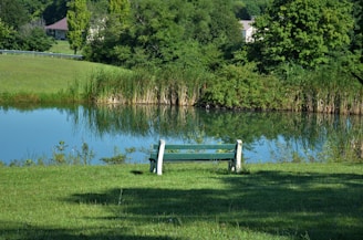 a bench sits by a lake