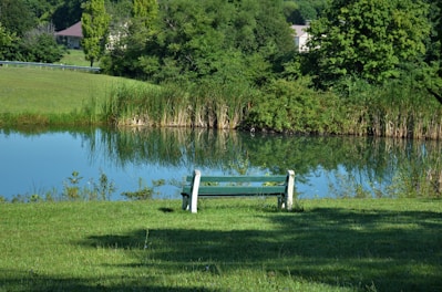 a bench sits by a lake