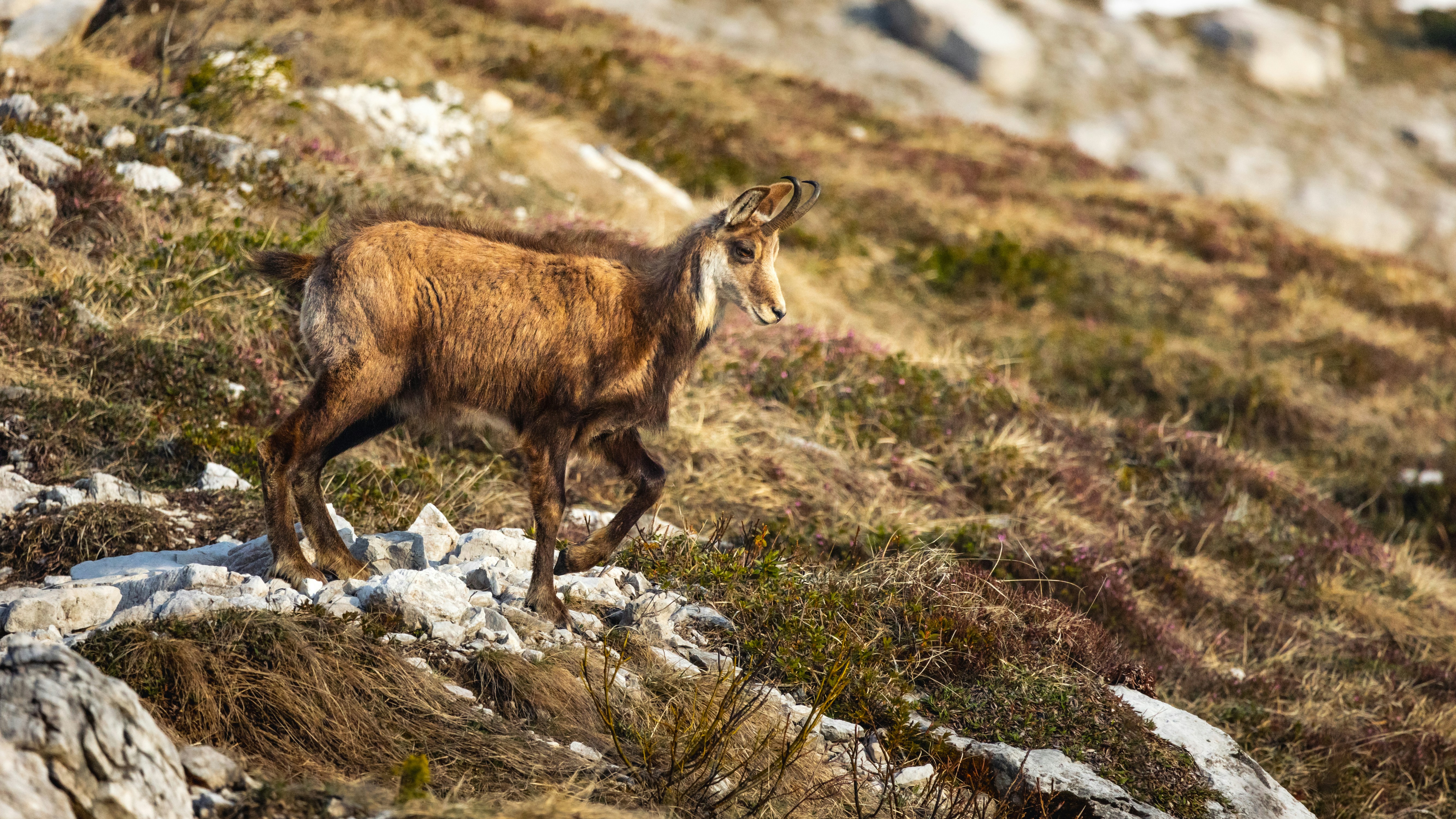 Photo by marekpiwnicki