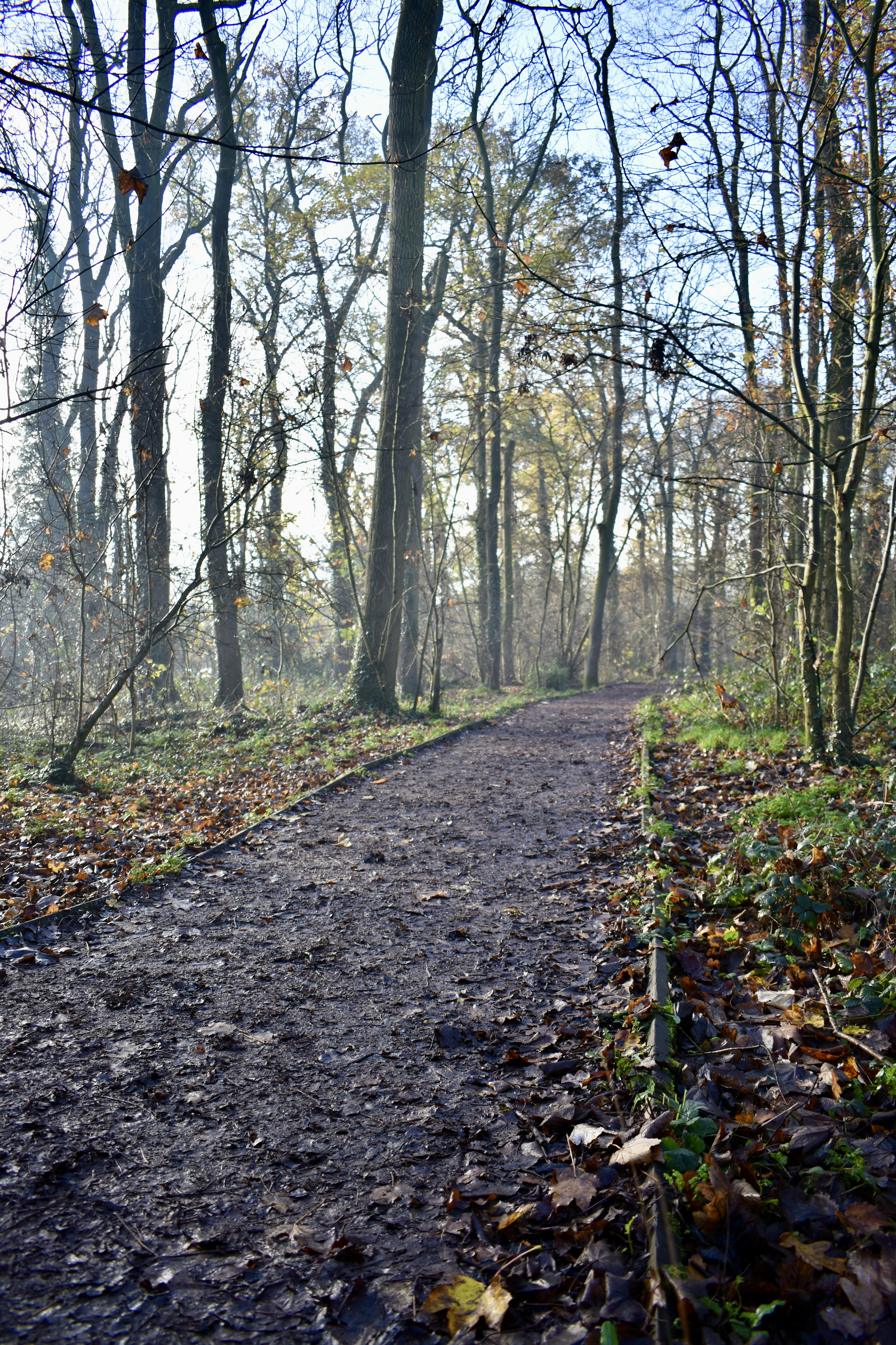 Photo by max_brindley