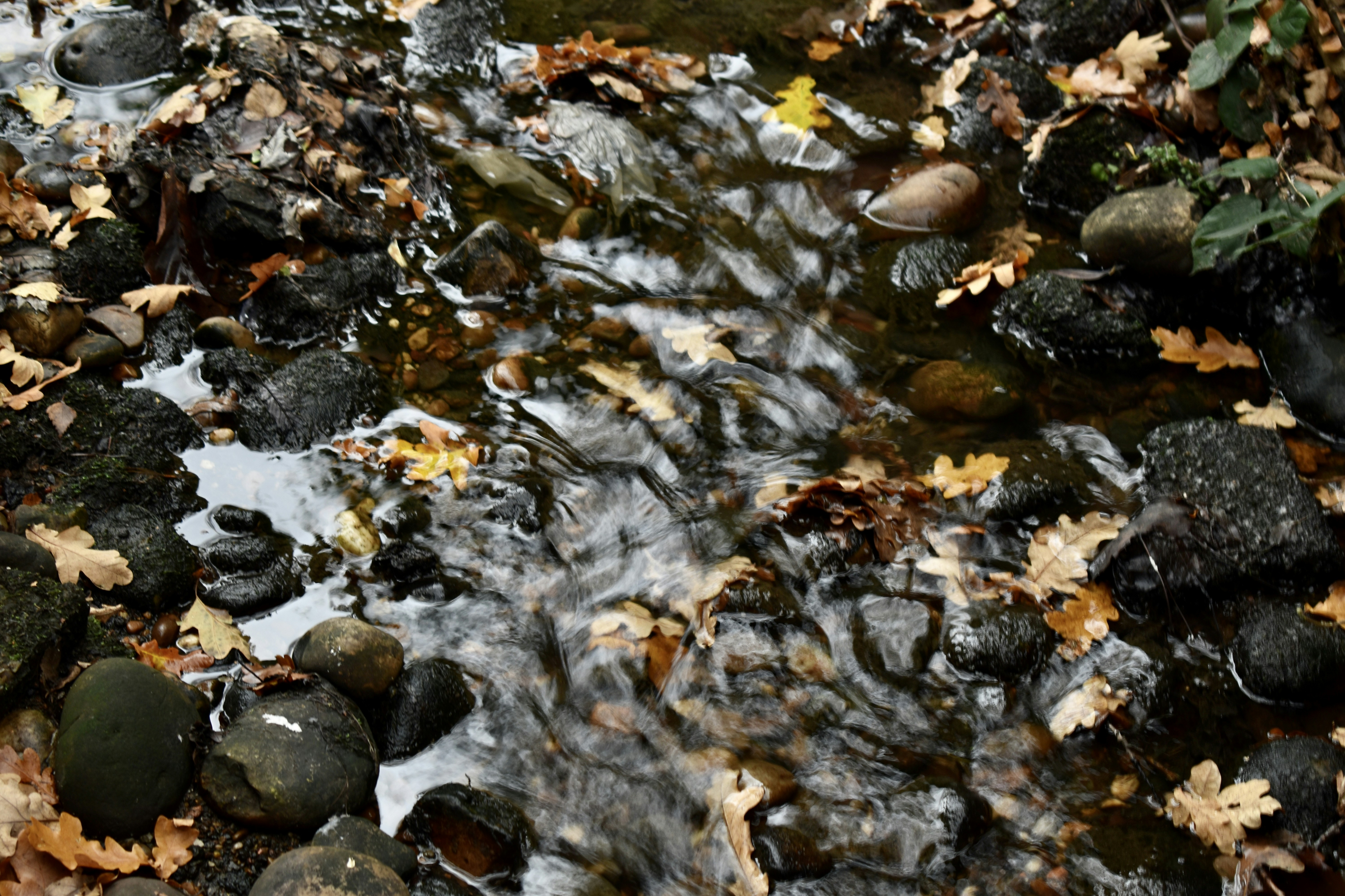 Photo by max_brindley