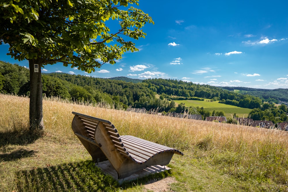 a bench in a grassy field