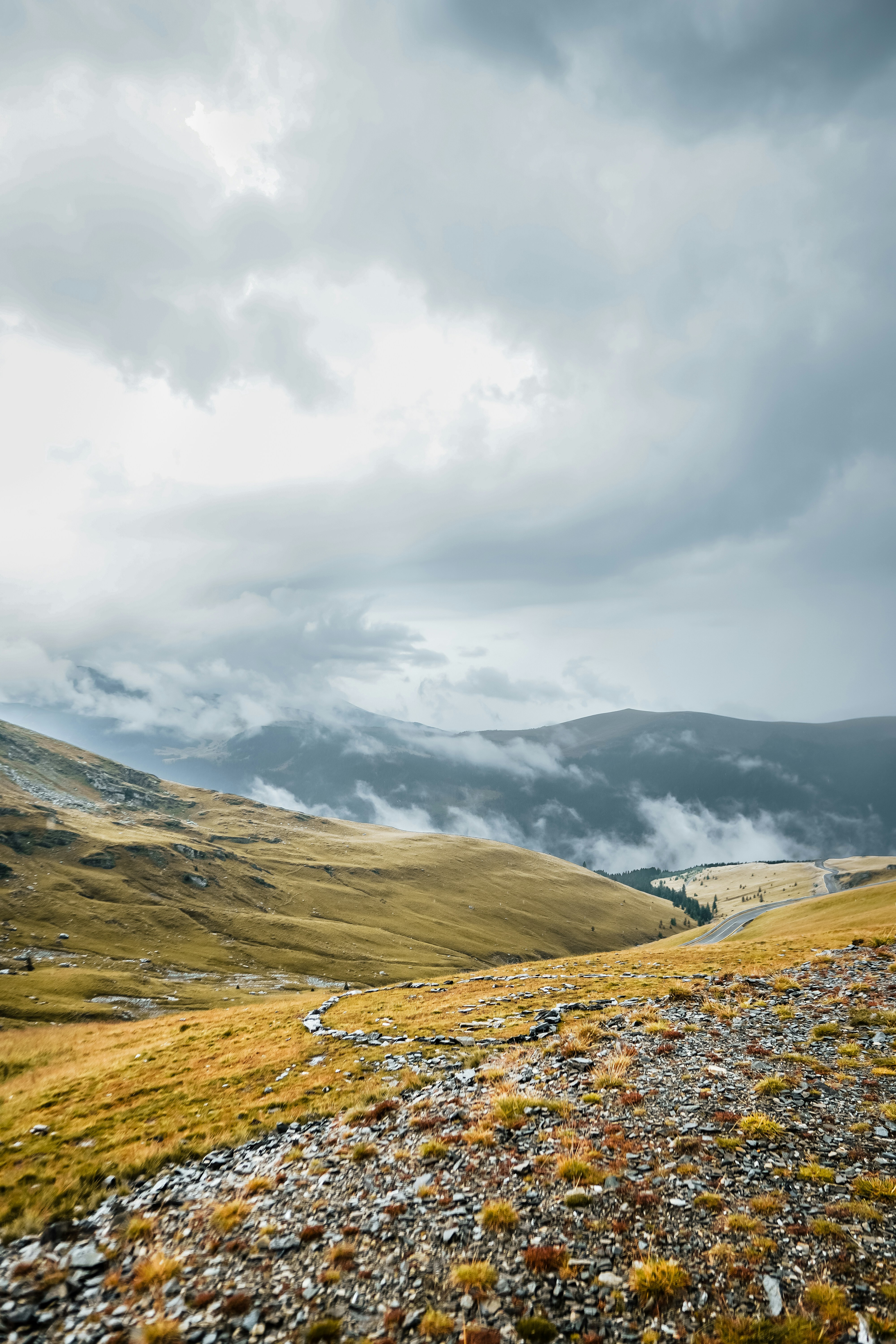 Photo by notsocreative