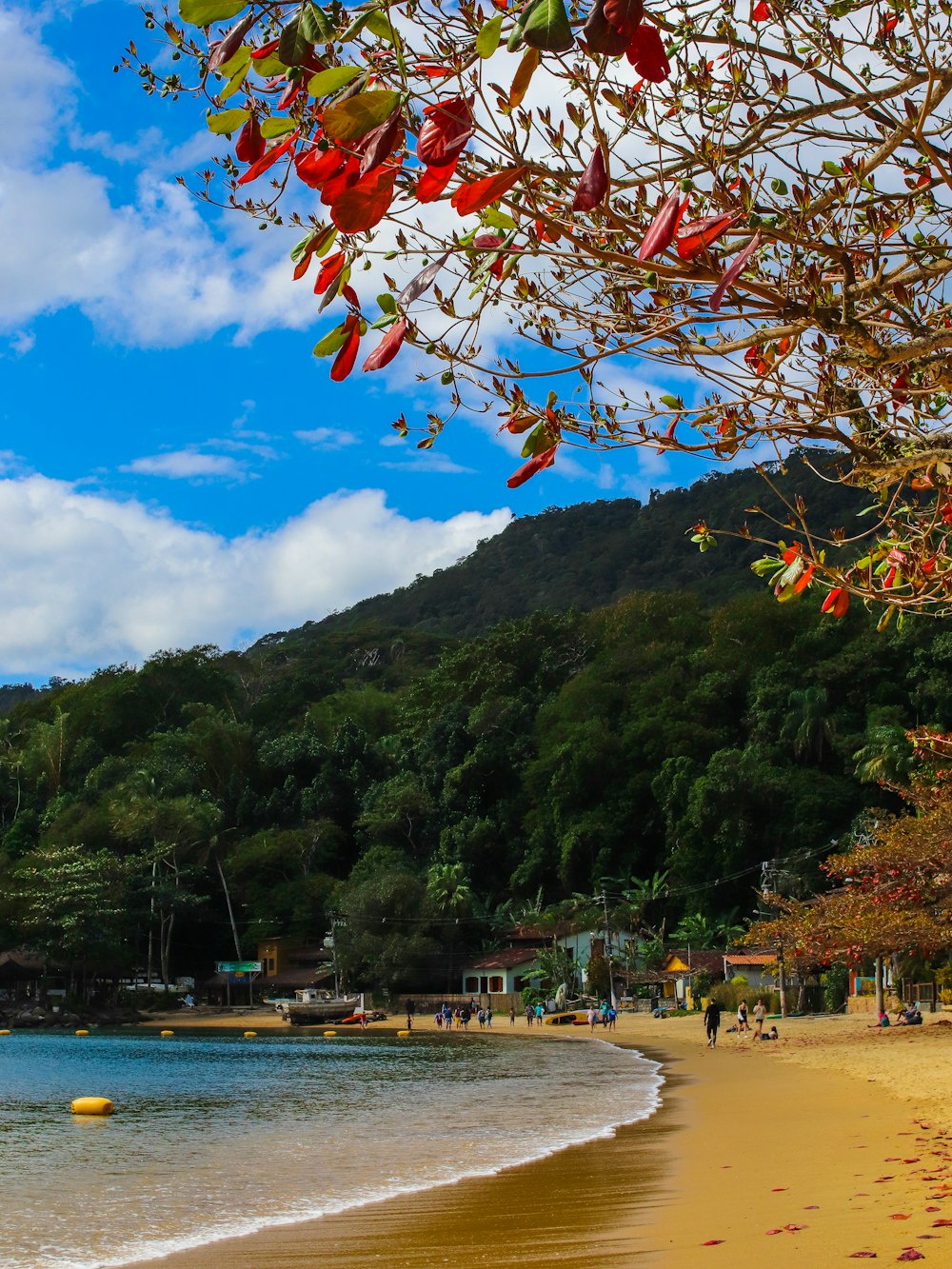 a beach with trees and a hill in the background