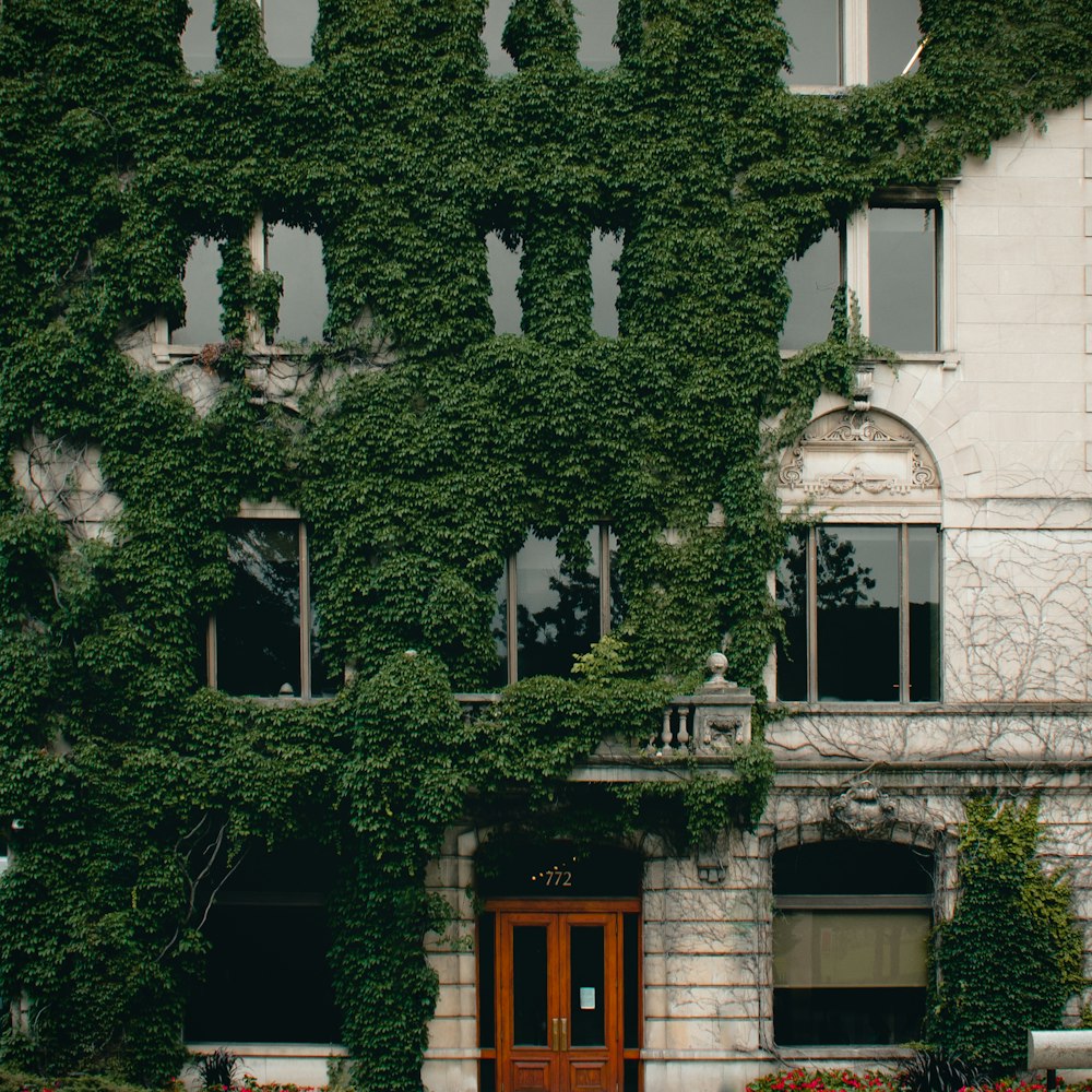 a building with ivy on it