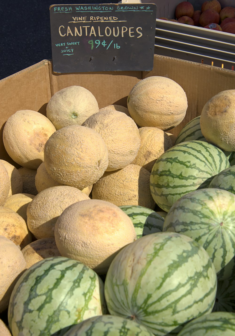 a group of watermelons in a display case