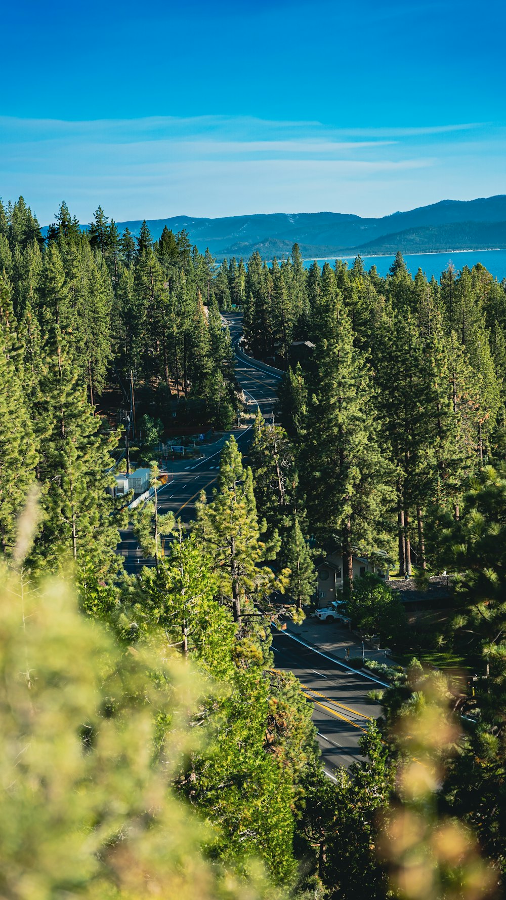 a road surrounded by trees and a body of water