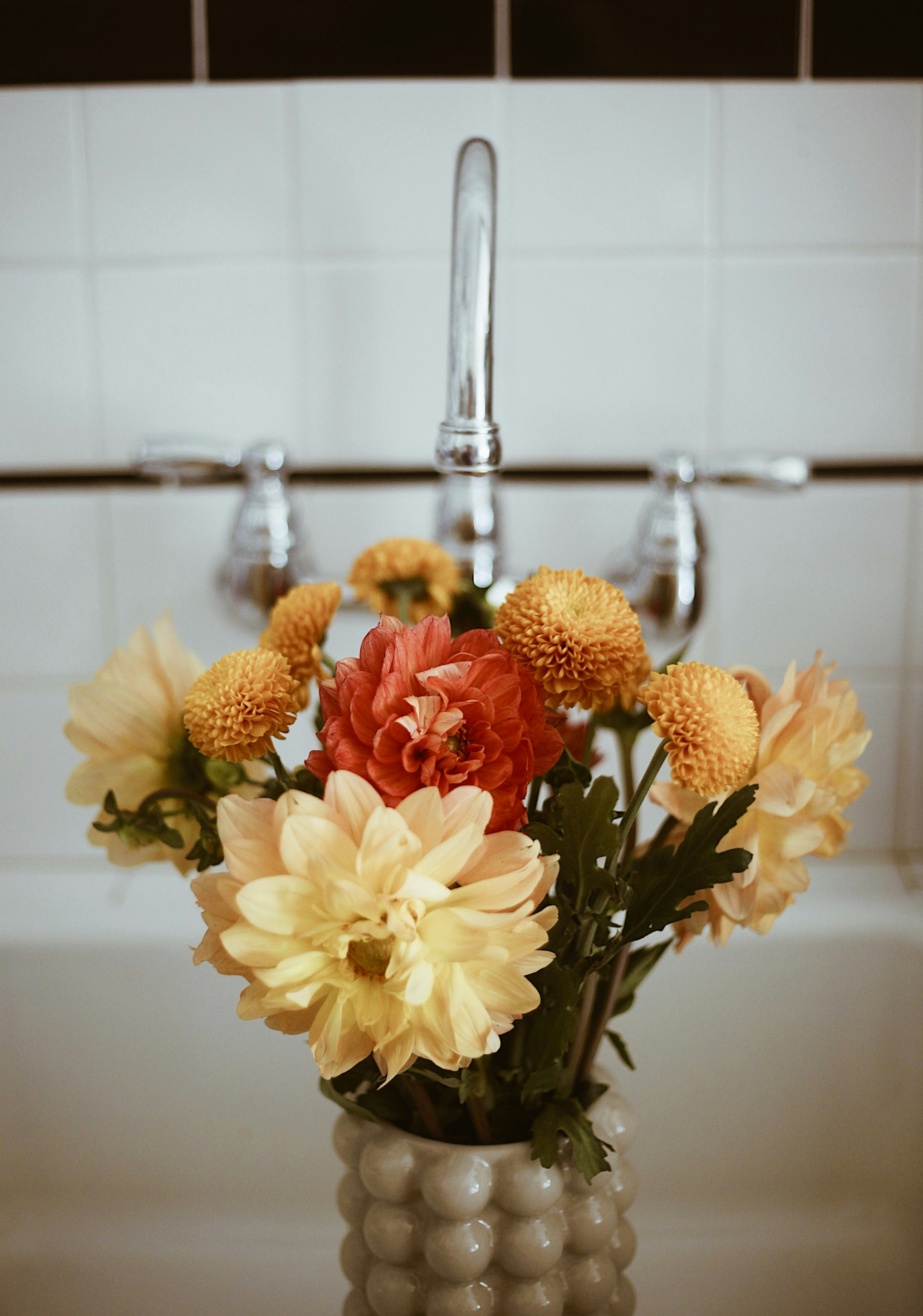 Photo by earthtokarly