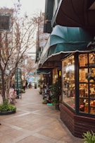 A quaint cobblestone street lined with shops on either side, featuring storefronts with large, inviting windows. Green awnings hang over the windows, and potted plants are placed along the path. Bare trees and street signs add character to the small, cozy shopping area.