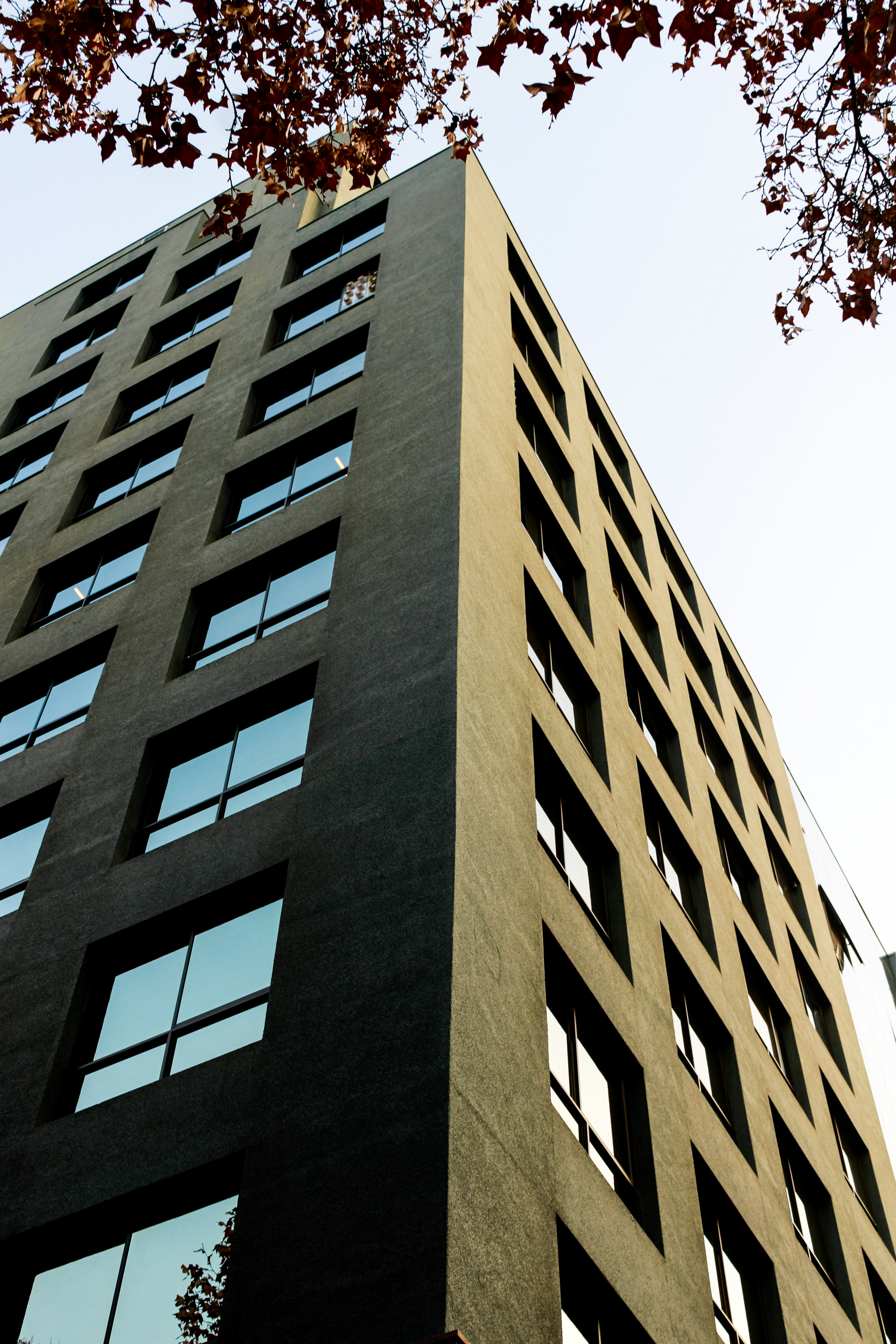 Photo by bastianfelipe