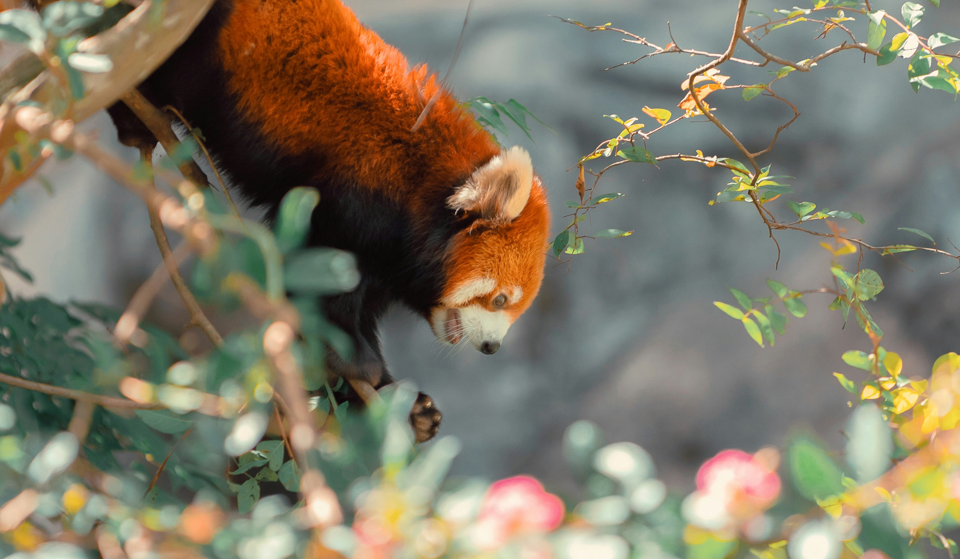 Photo by frogman1962