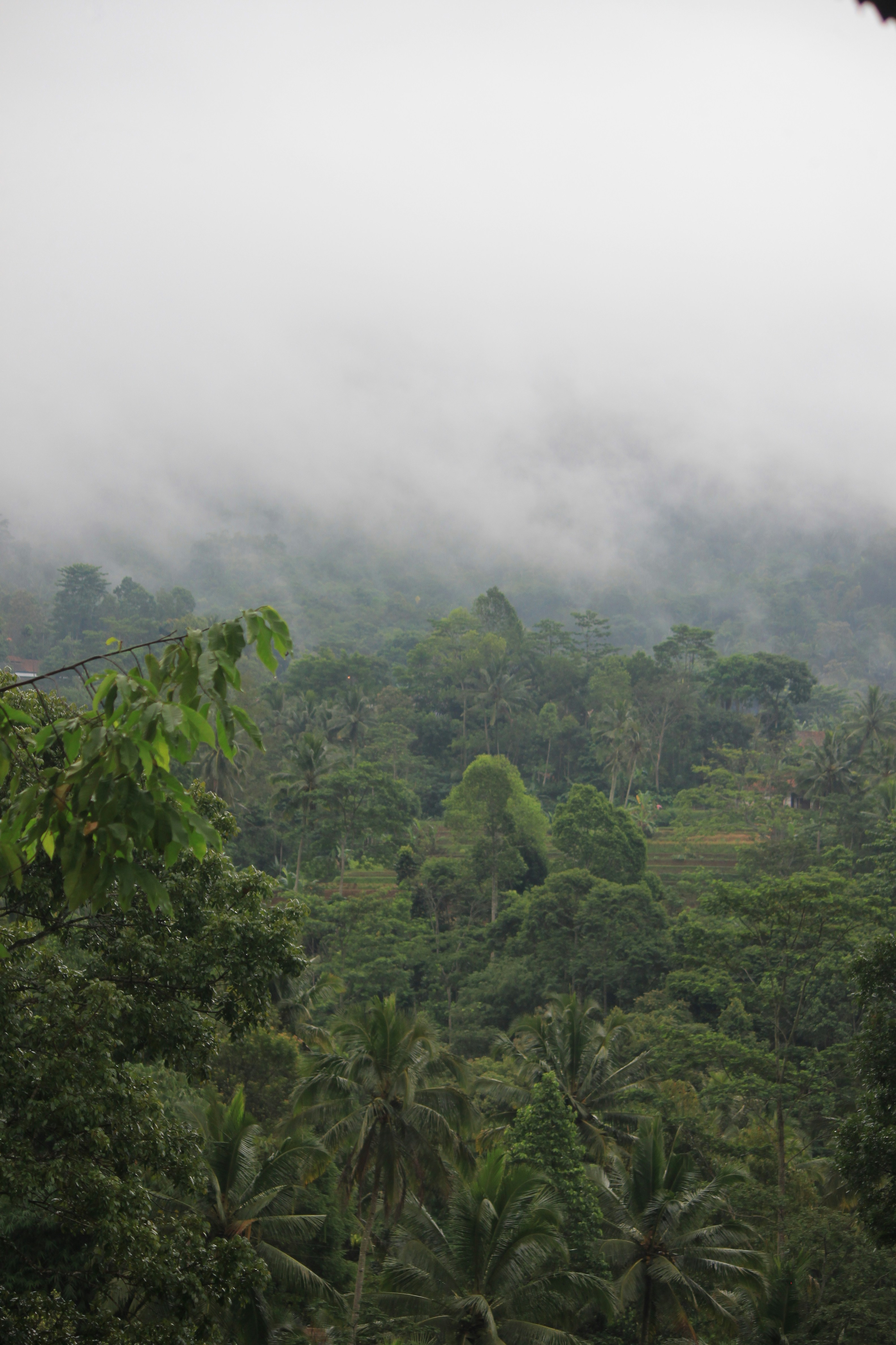 Photo by simplyauthentic