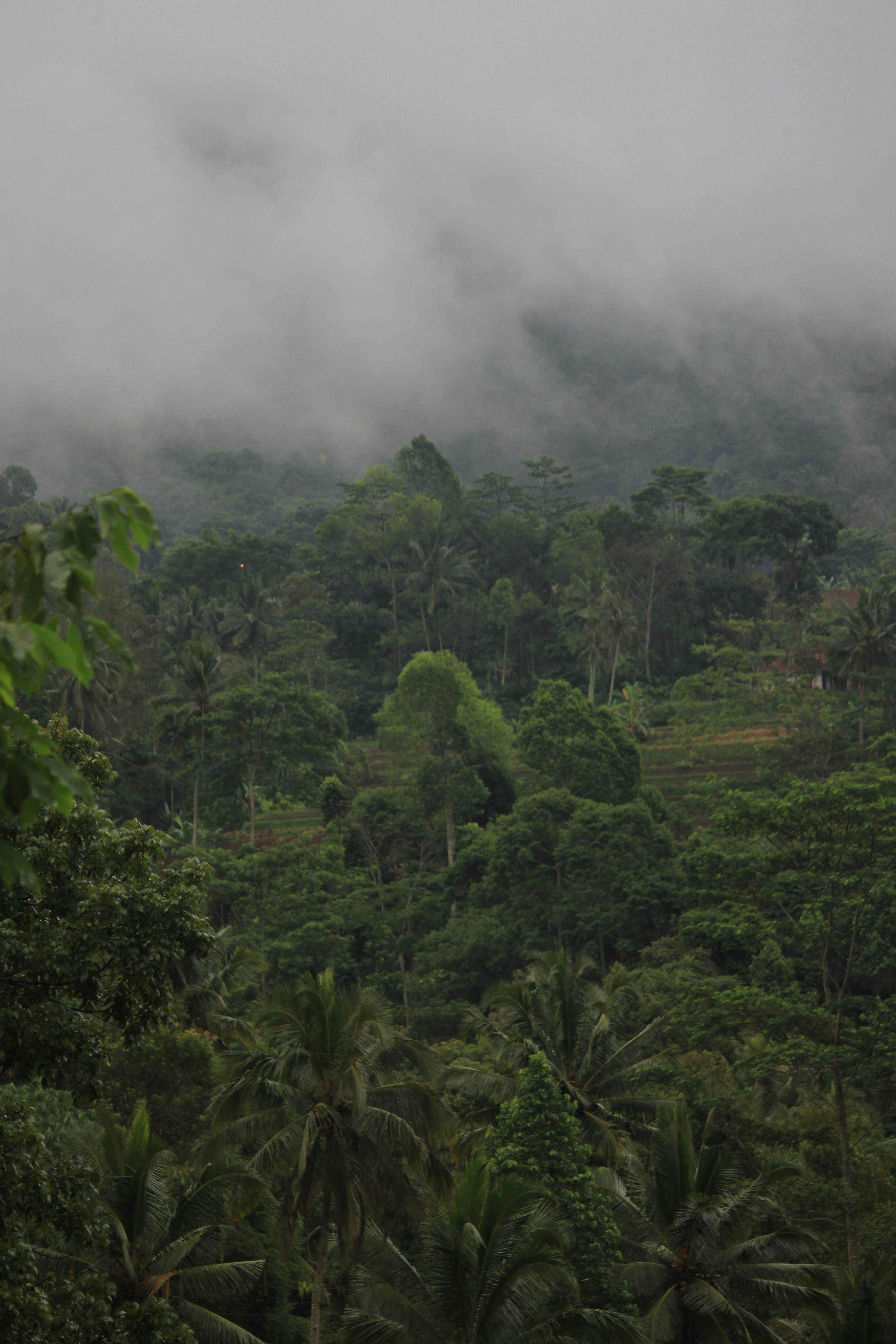 Photo by simplyauthentic