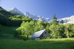 Mountain Cabin