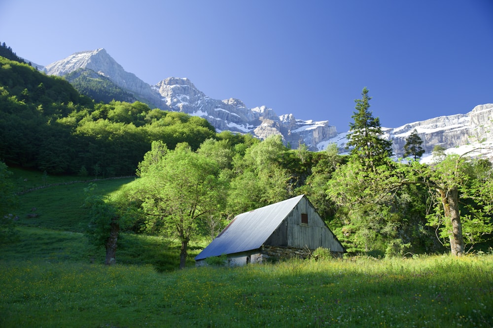 a house in a grassy field with trees and mountains in the background