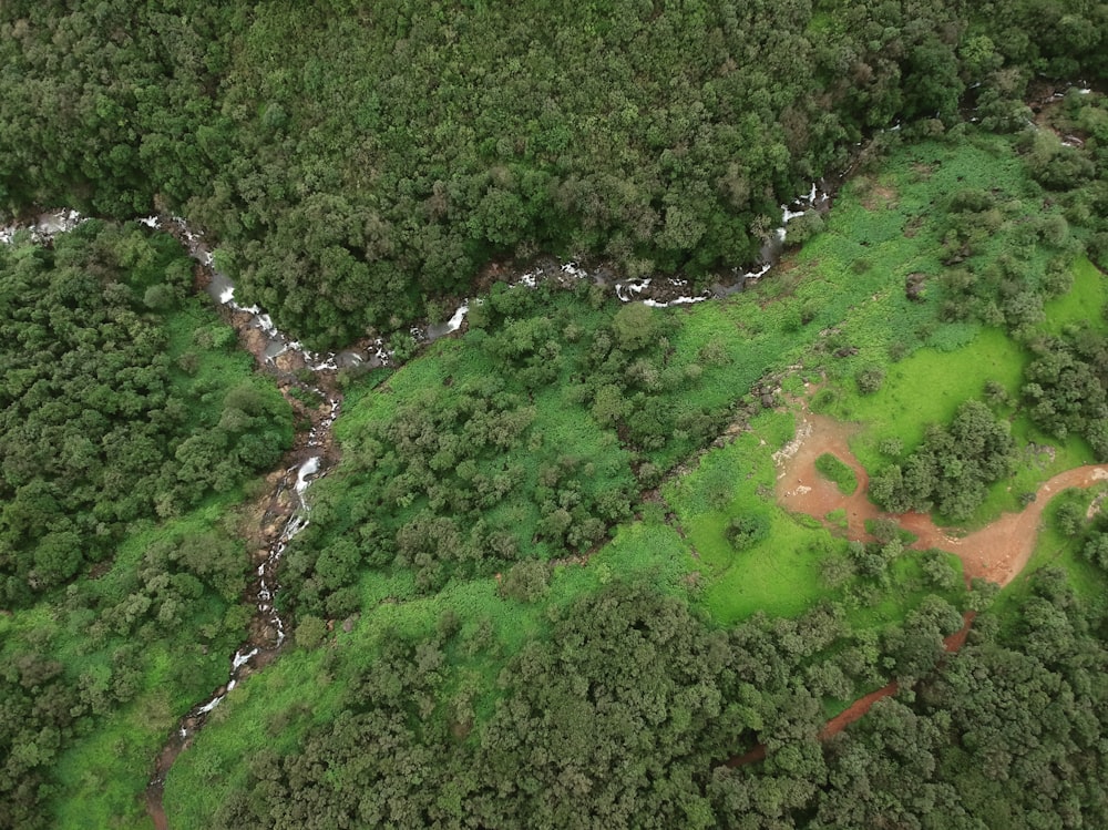 a high angle view of a river