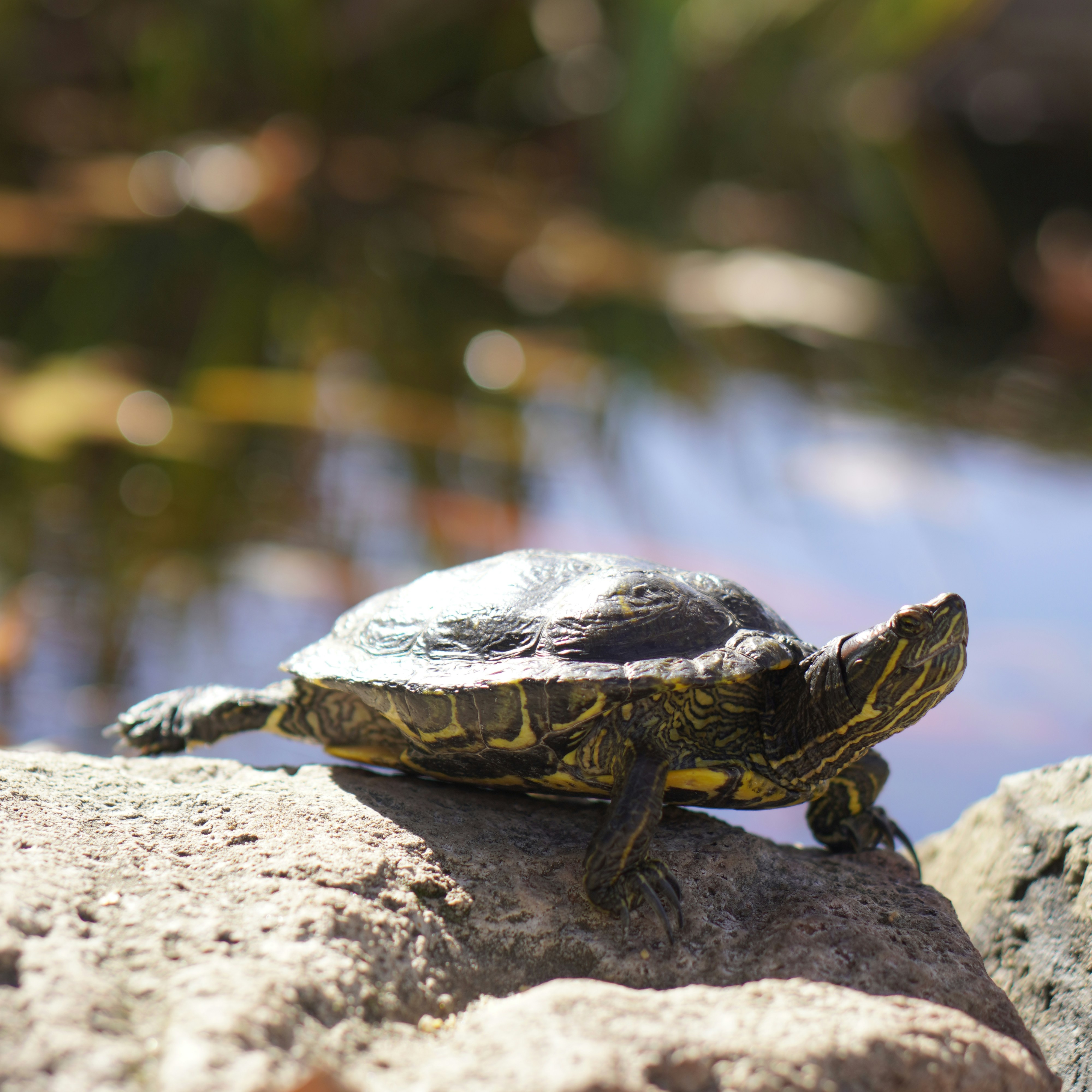 Photo by p_bhagyashri