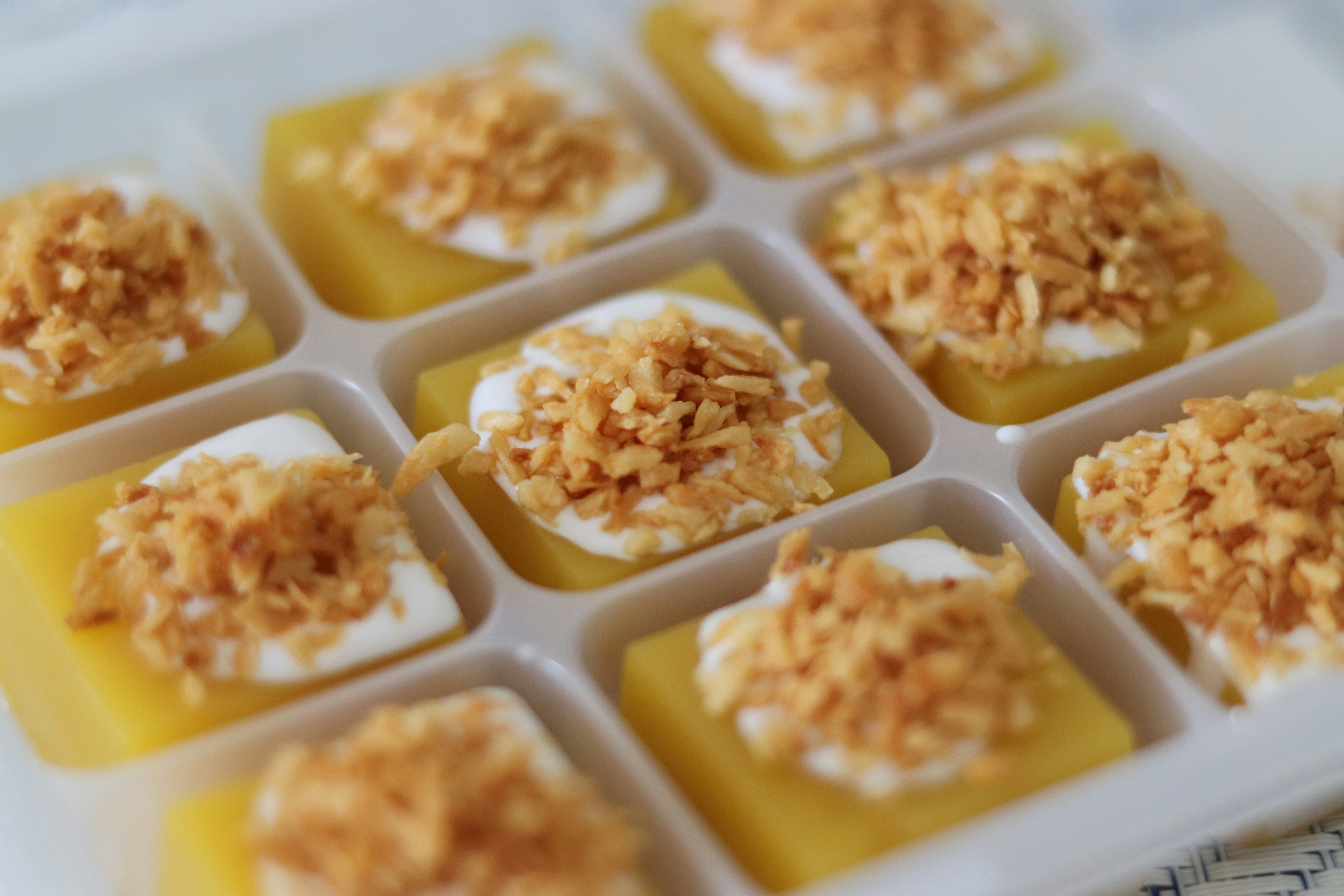 Close-up of Souper Cubes compartment showing easy soup portion release