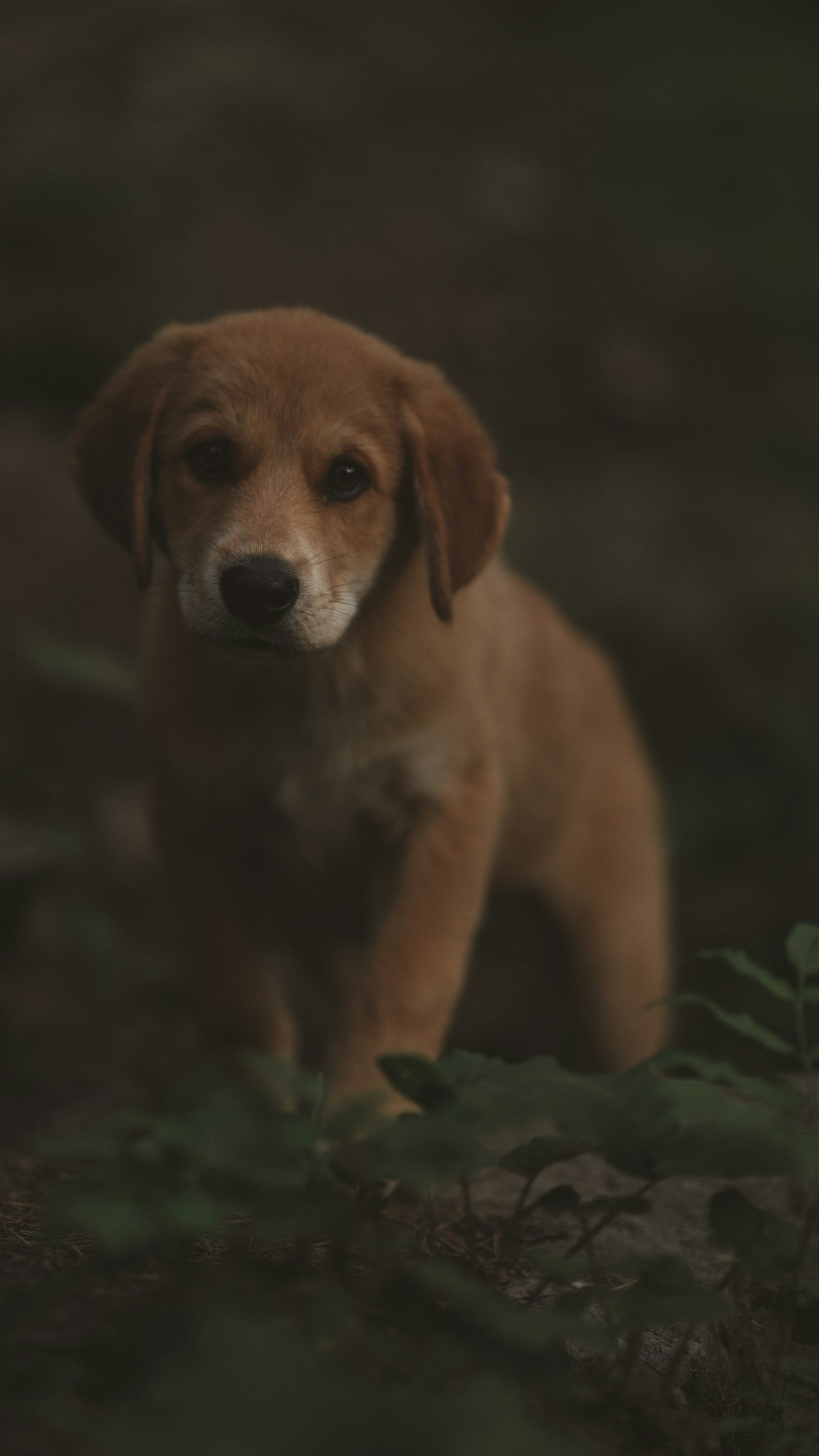 Photo by photogramystudio