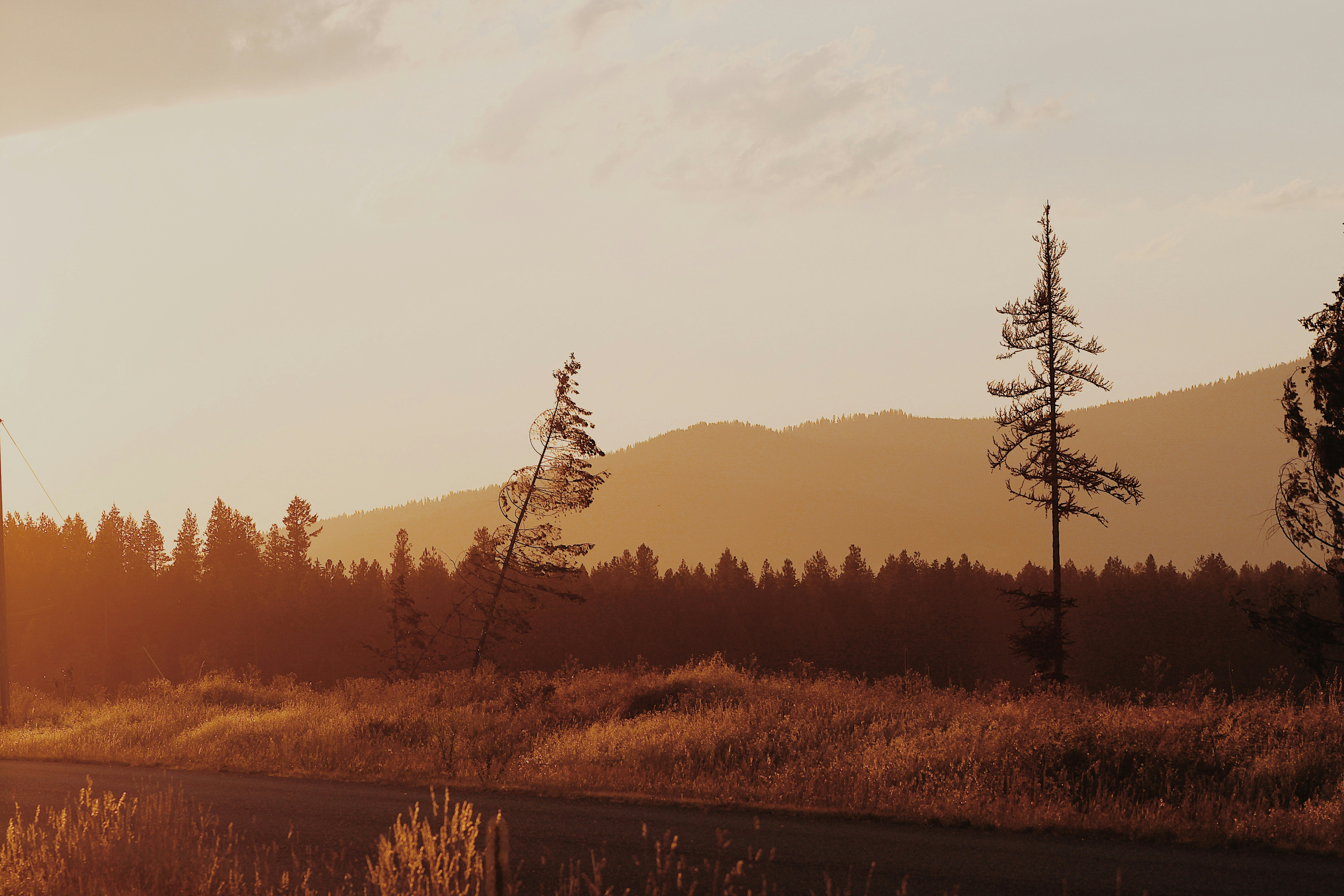 Photo by itskatie_8