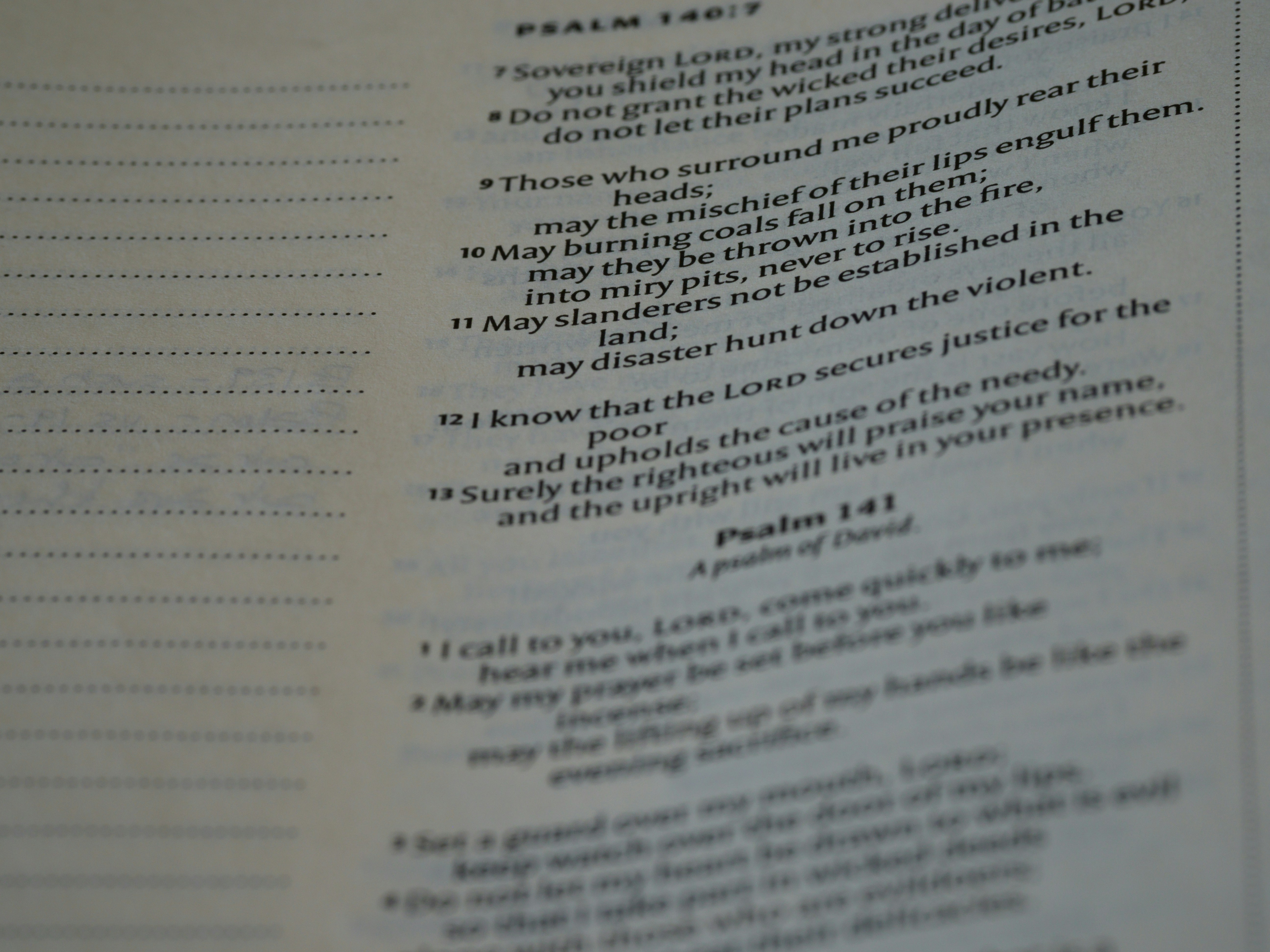 Photo by brett_jordan