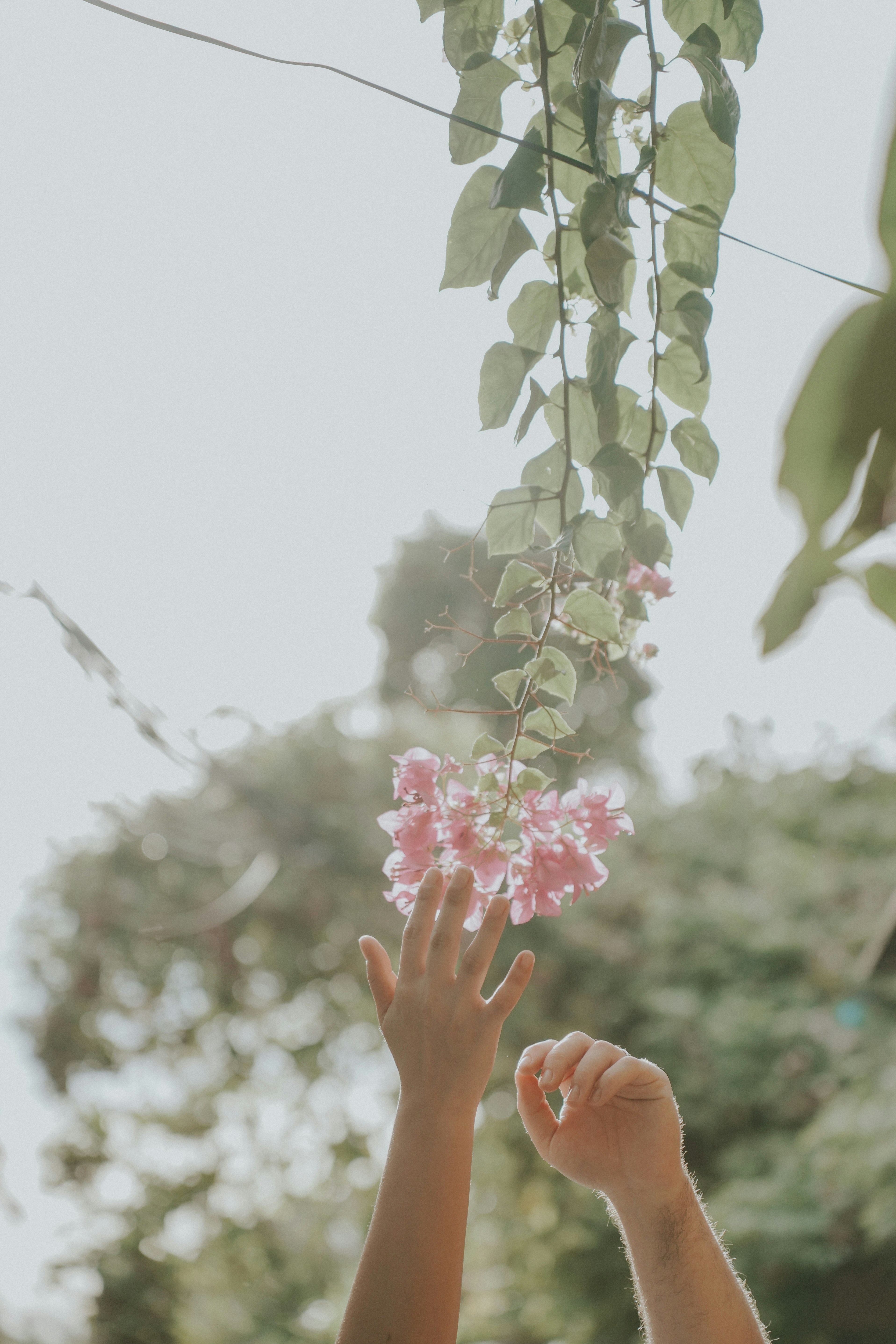 Photo by hoianphotographer