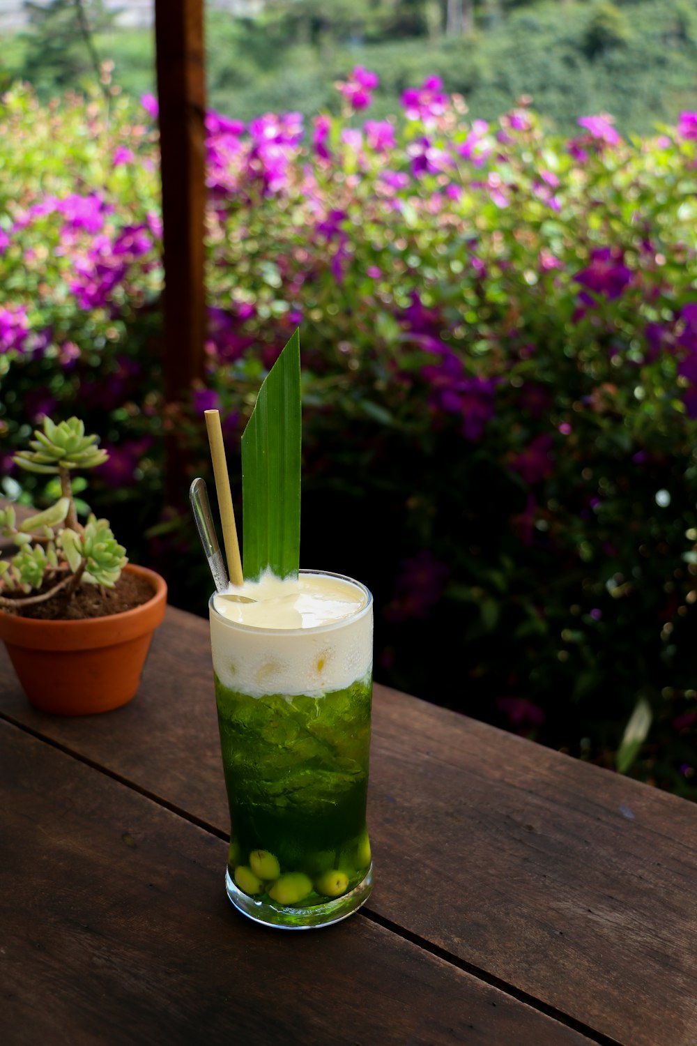 a glass with a drink in it and a plant in the back