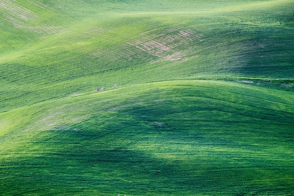 a green field with a few patches of green grass