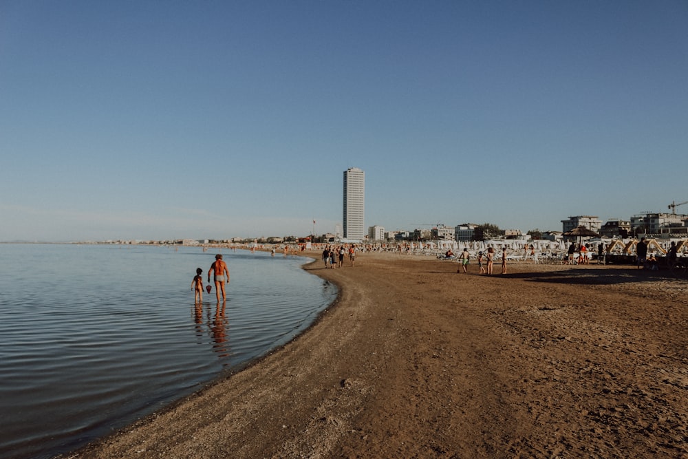 people on a beach