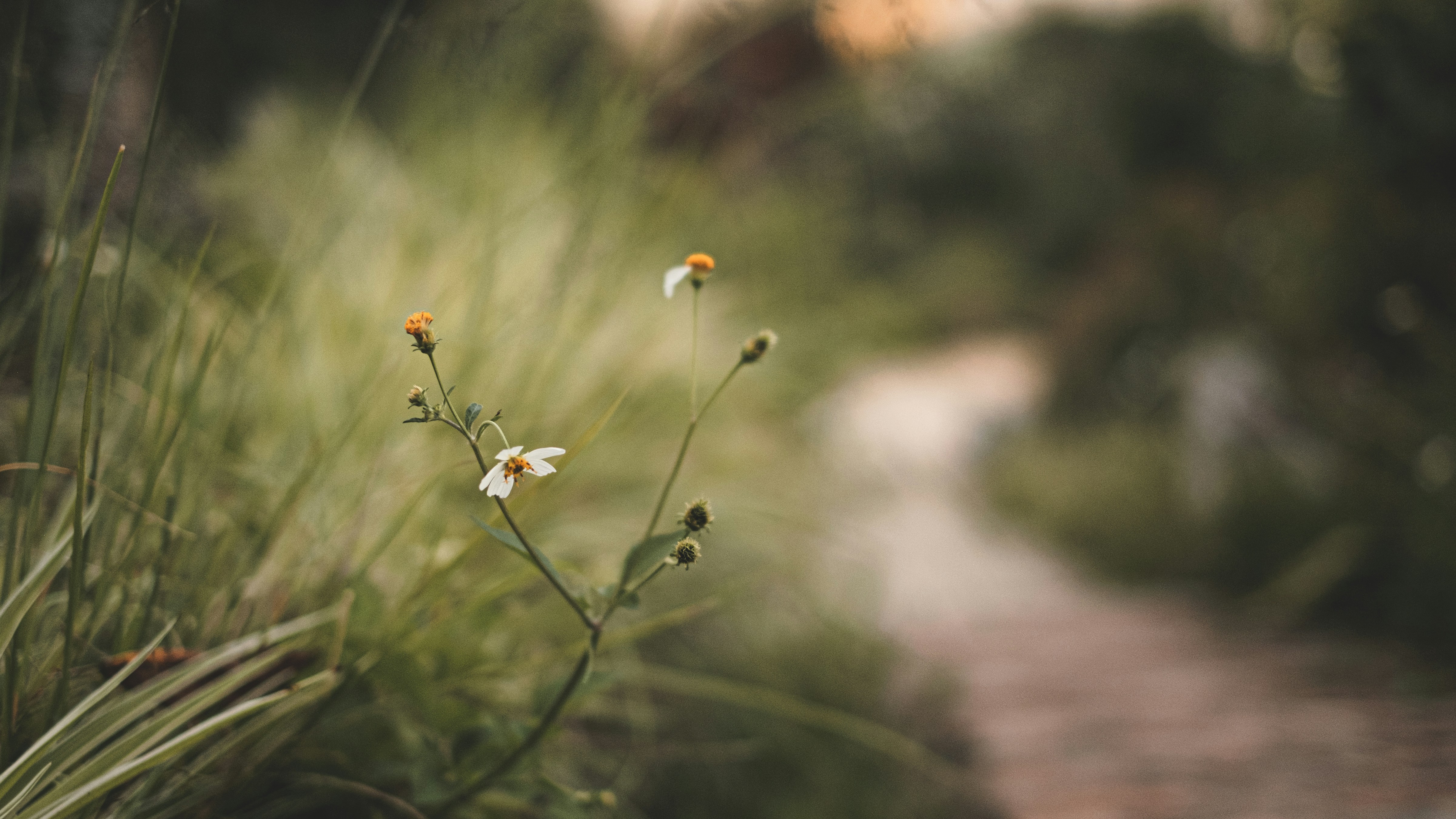 Photo by xiaowuuuuuuu