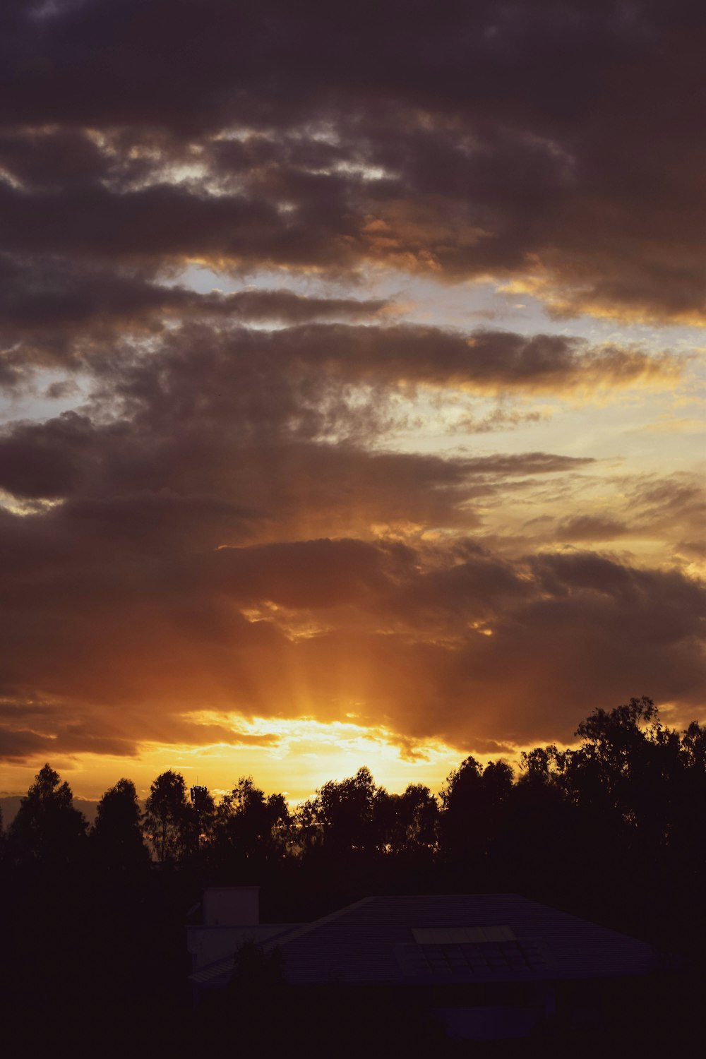 a sunset over trees