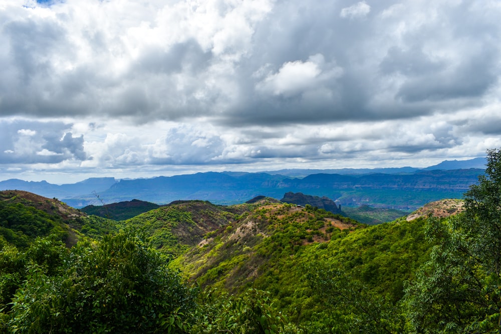 a landscape with trees and mountains