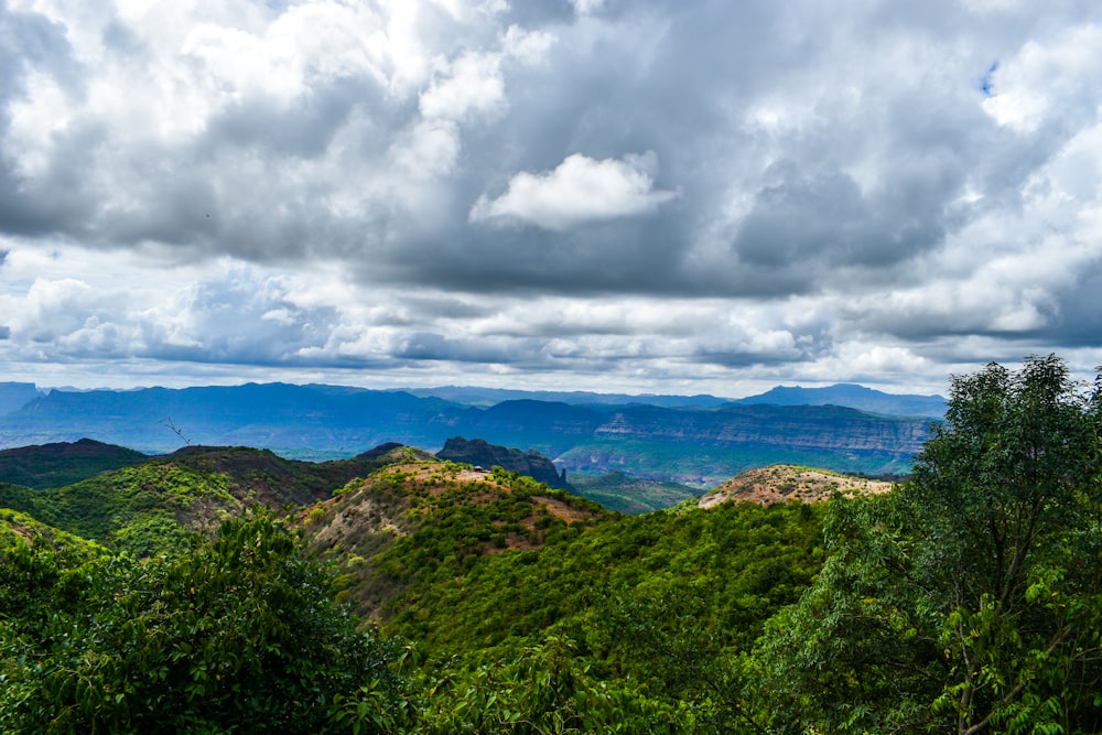 a landscape with trees and mountains in the back