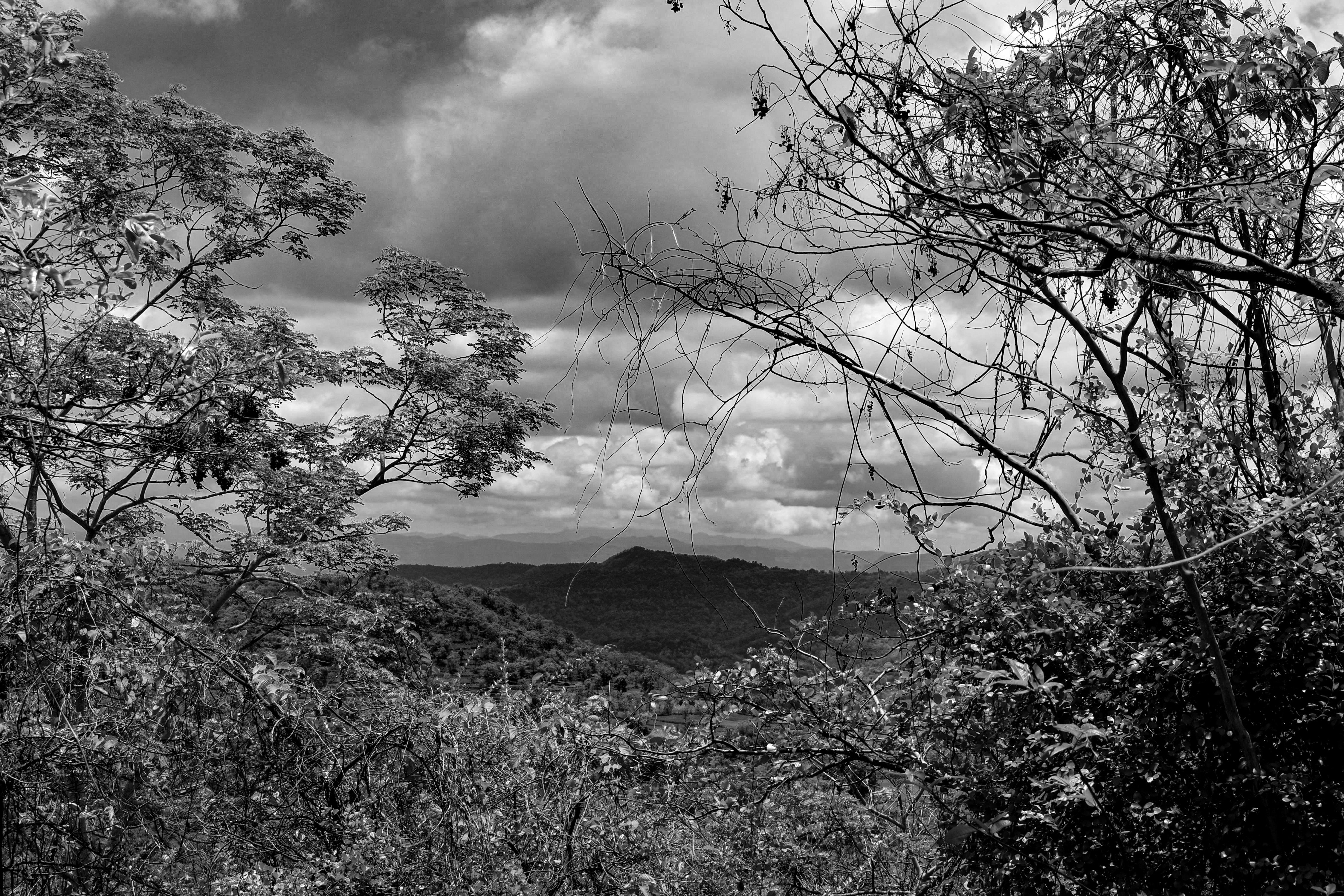 Photo by nuvolephotos