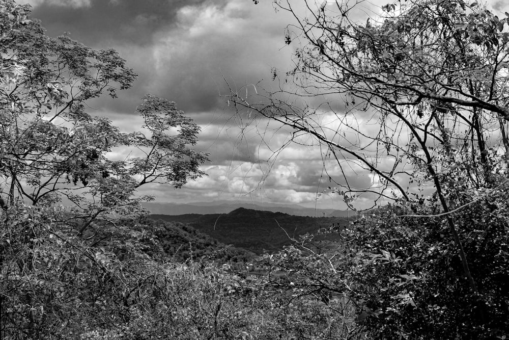 a black and white photo of trees and hills with clouds in the sky