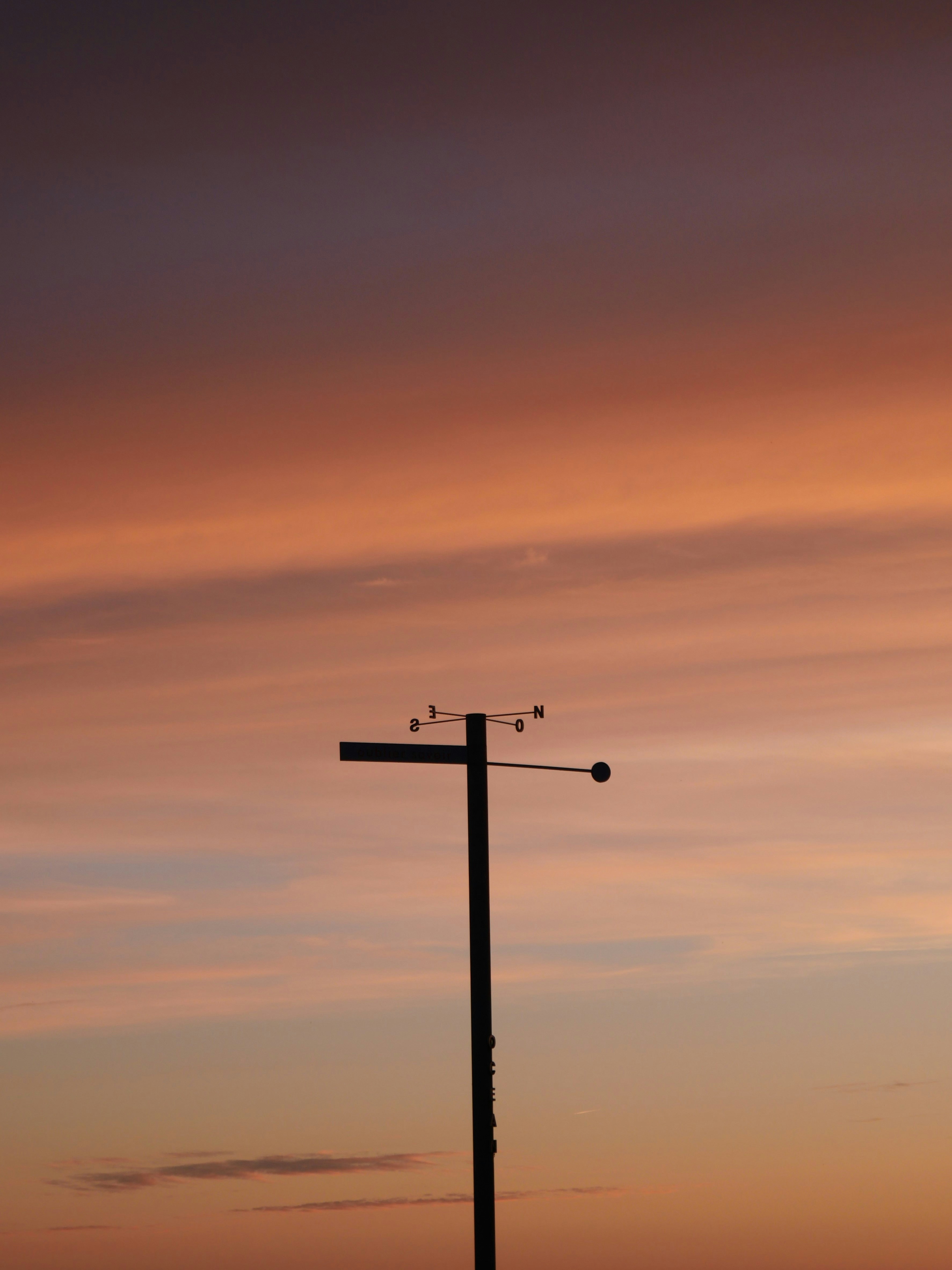 Photo by nimbus_vulpis