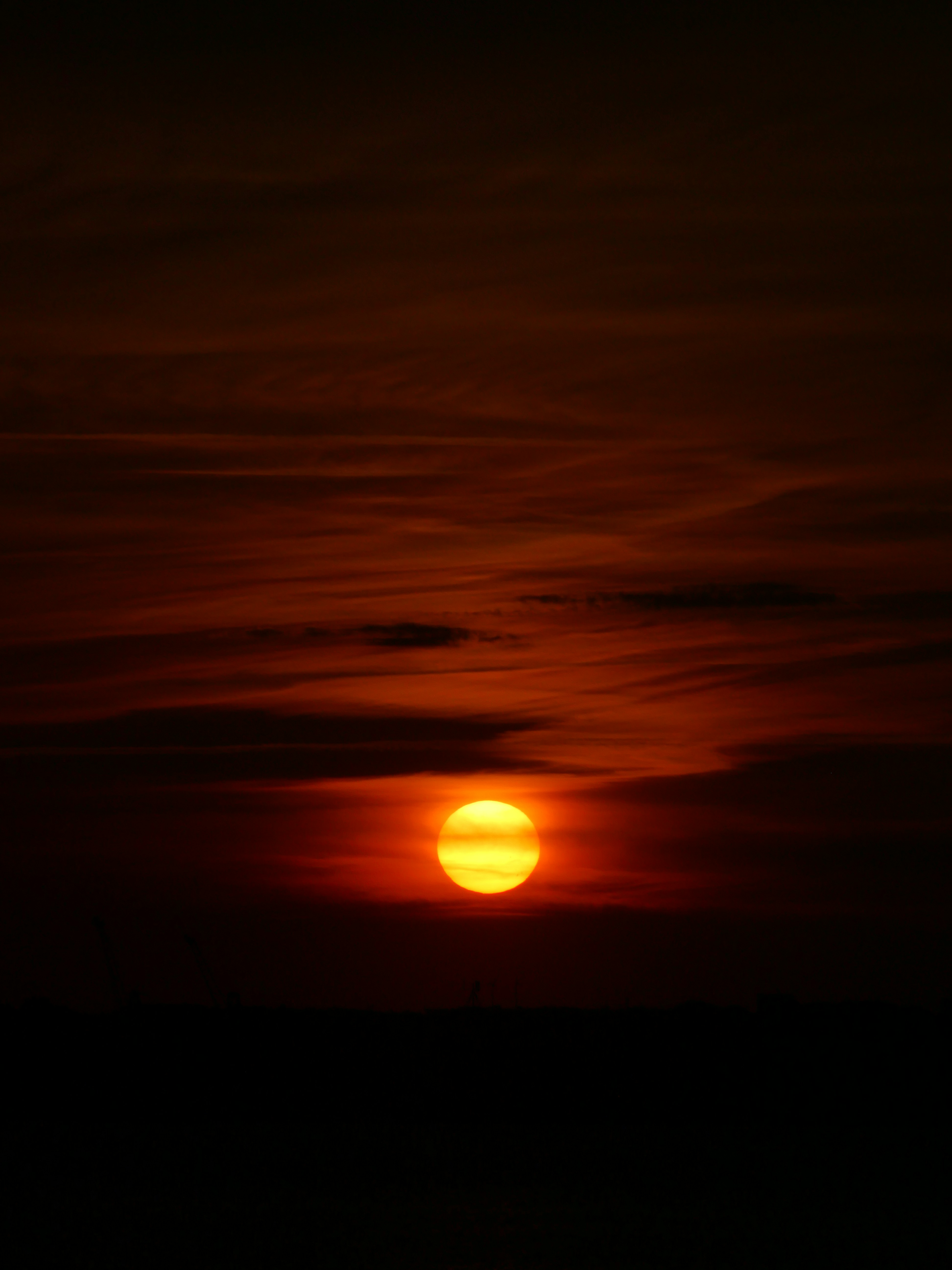 Photo by nimbus_vulpis