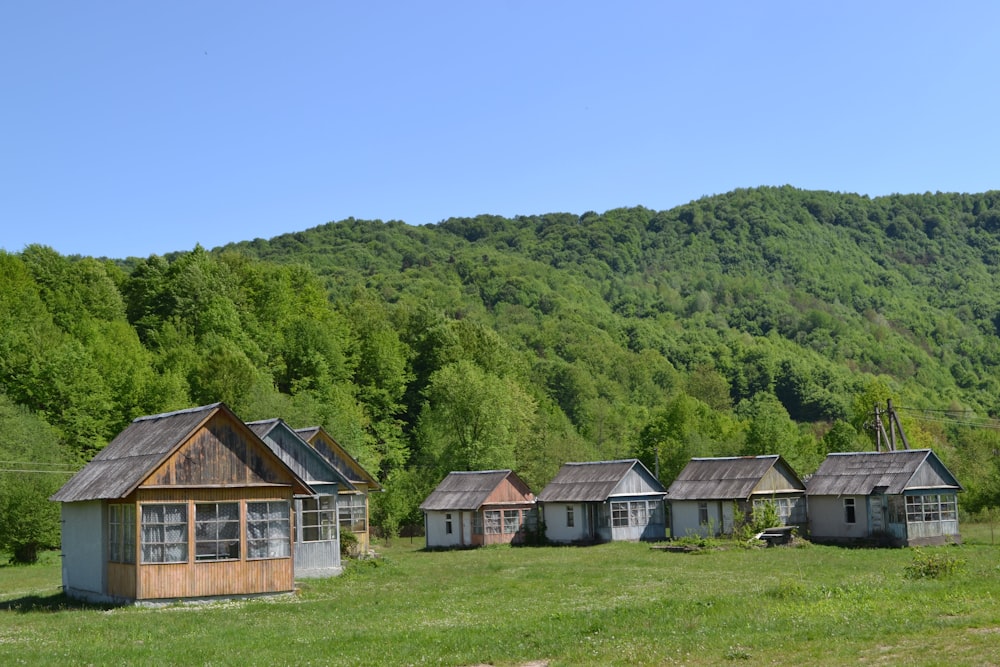 a group of houses in a grassy field with trees in the background