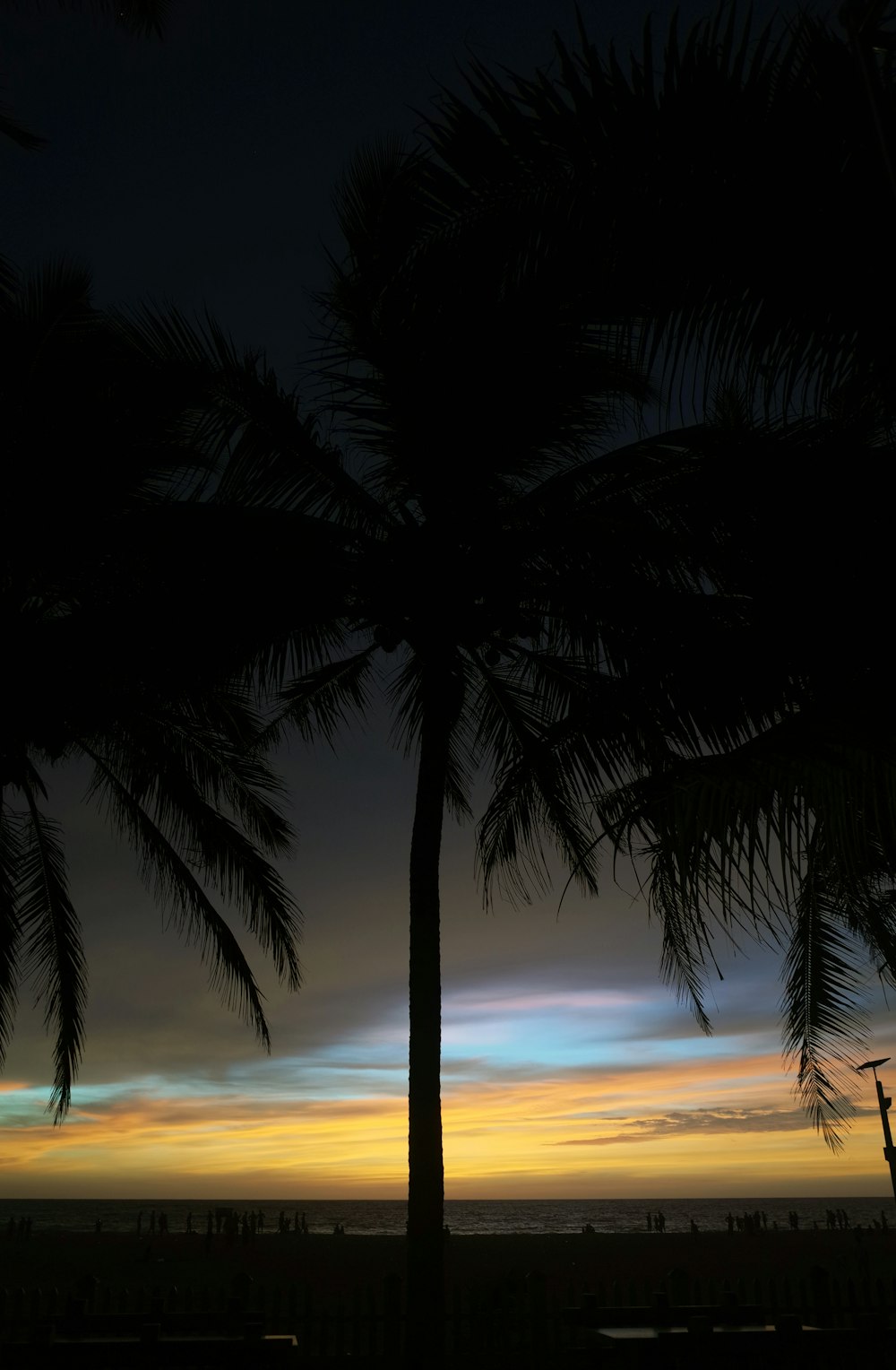 a sunset behind palm trees